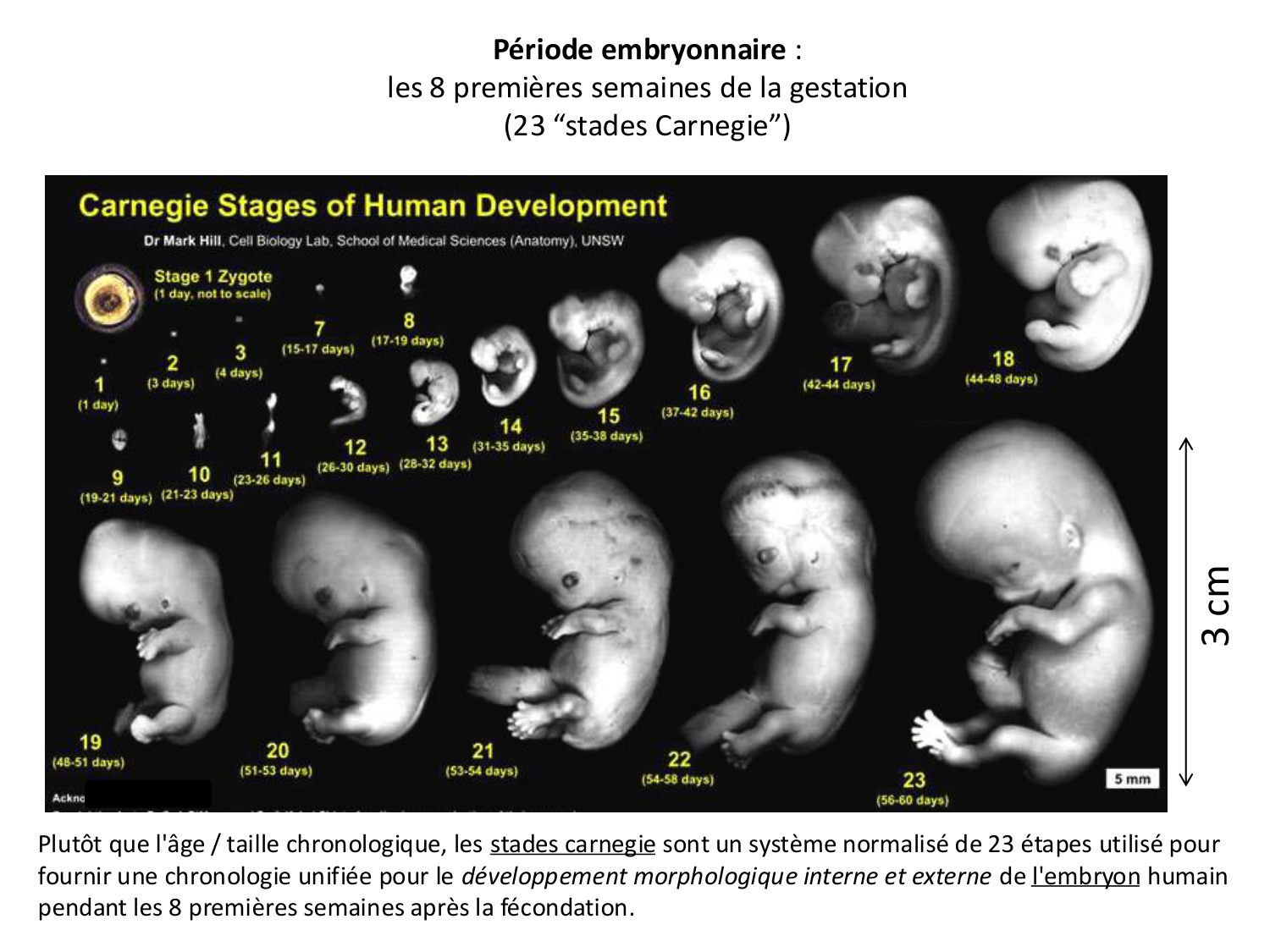 Introduction au développement page 5