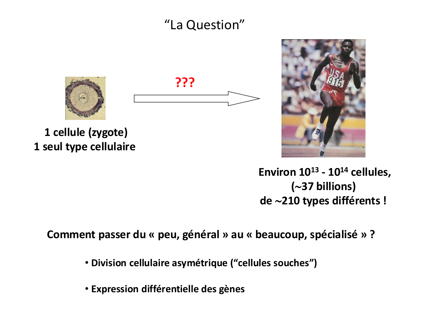 Introduction au développement page 8