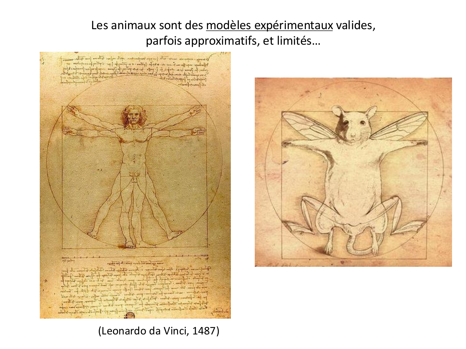 Introduction au développement page 16
