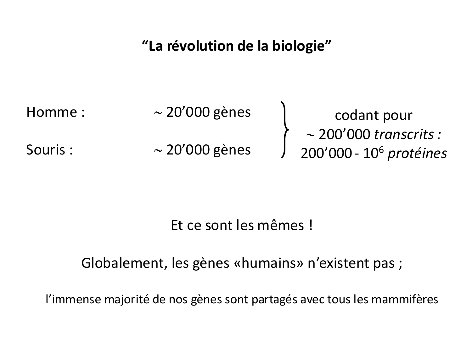 Introduction au développement page 19