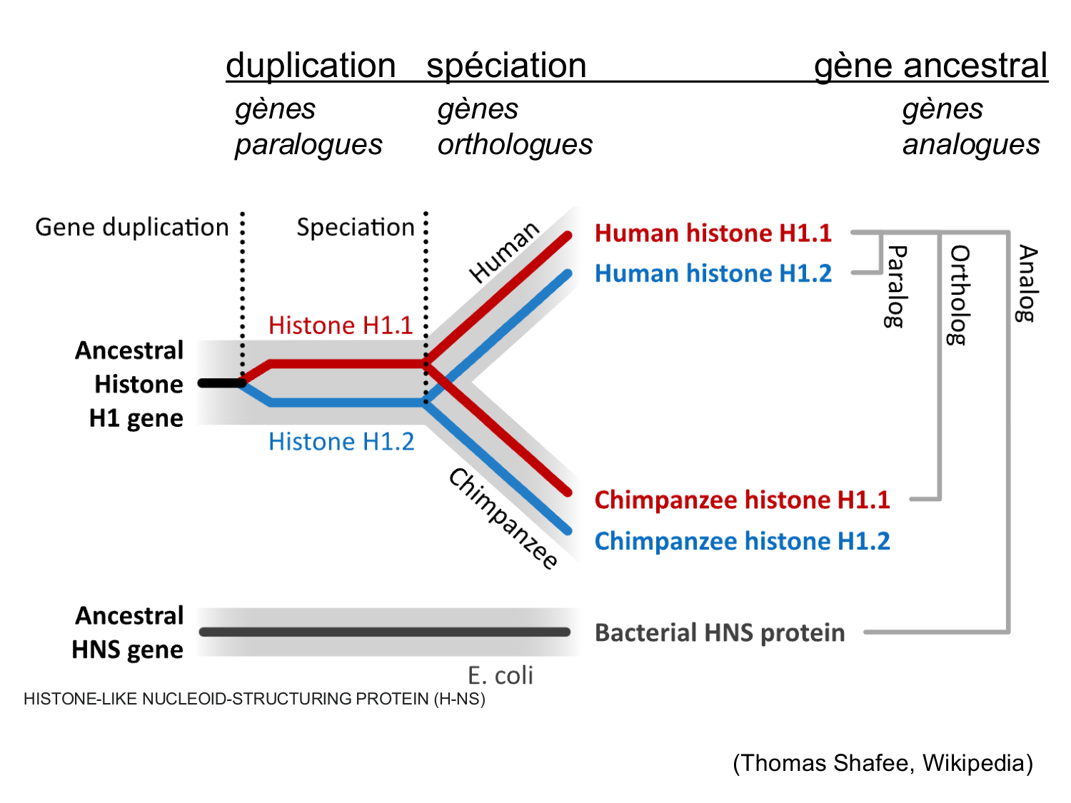 Introduction au développement page 20