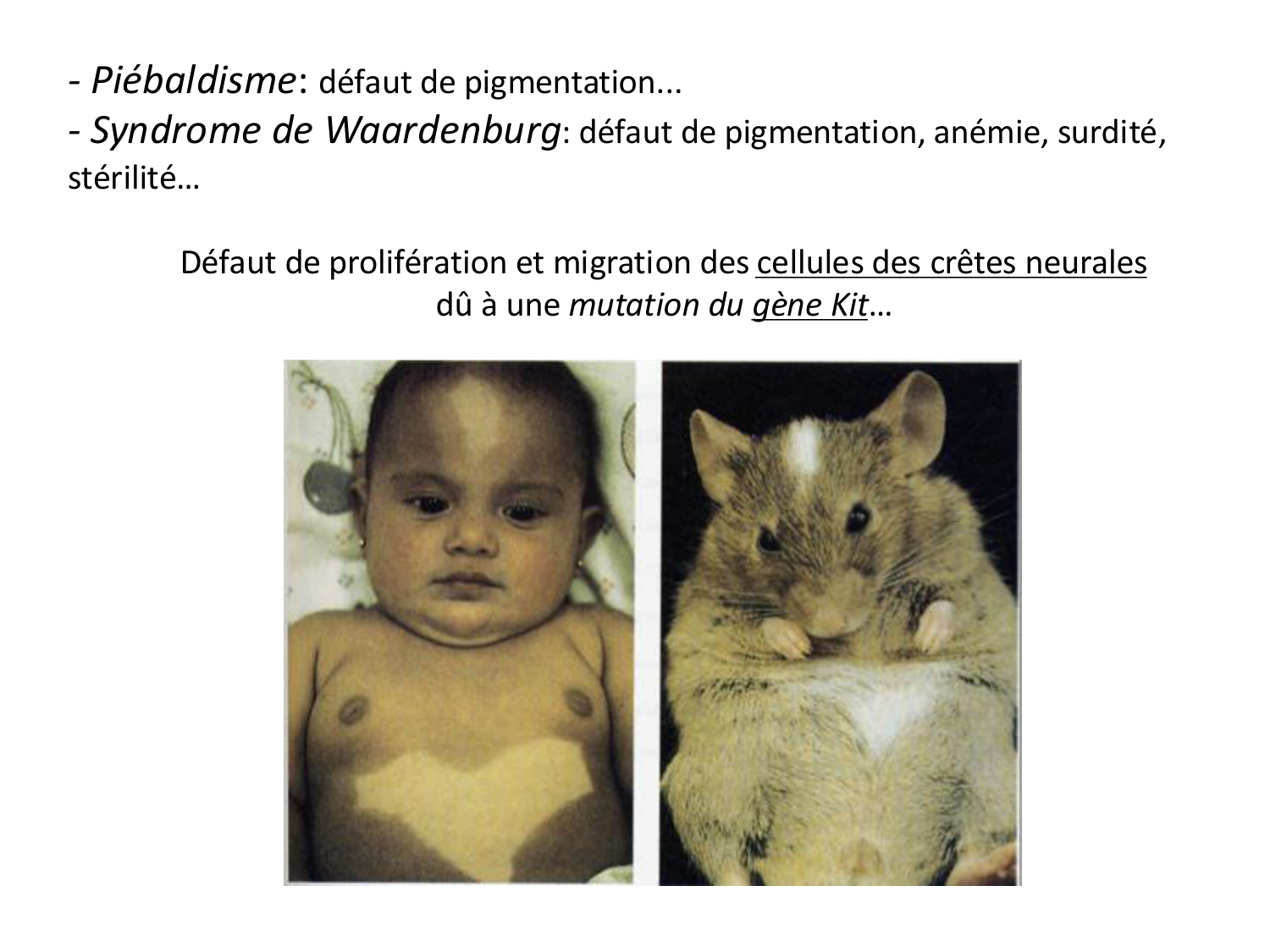 Introduction au développement page 21