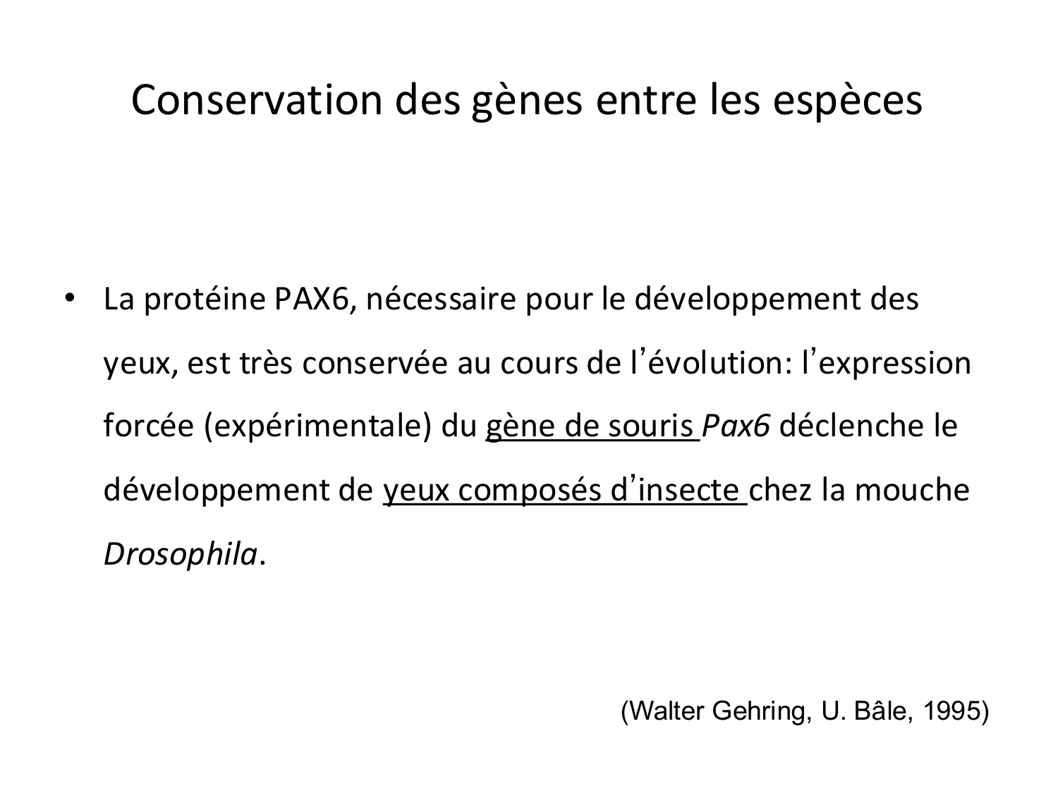 Introduction au développement page 22