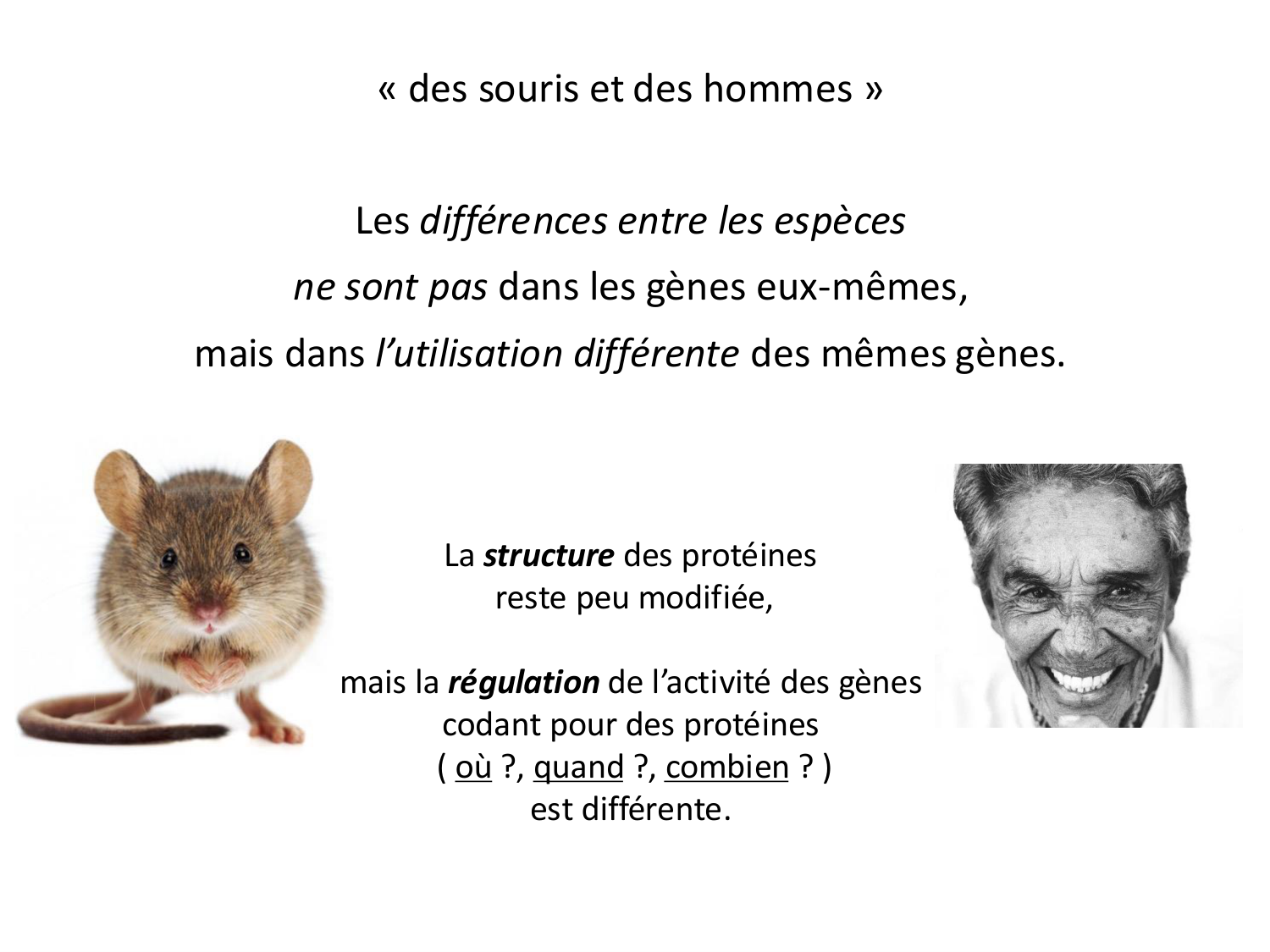 Introduction au développement page 26