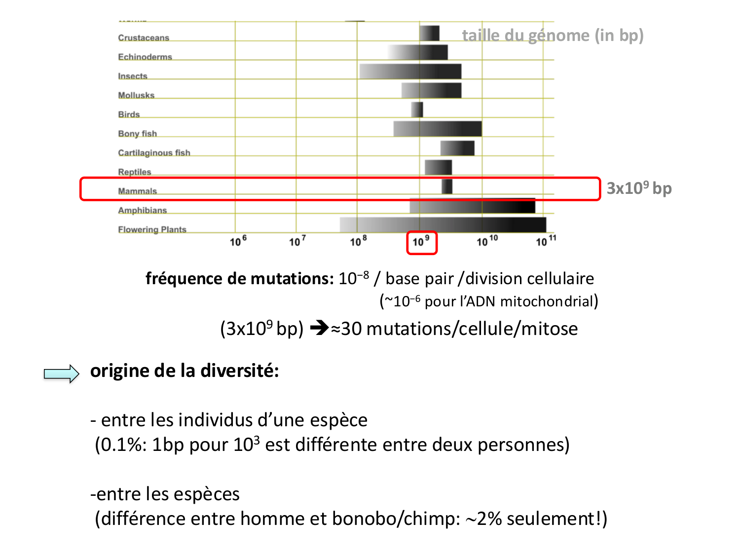 Introduction au développement page 27