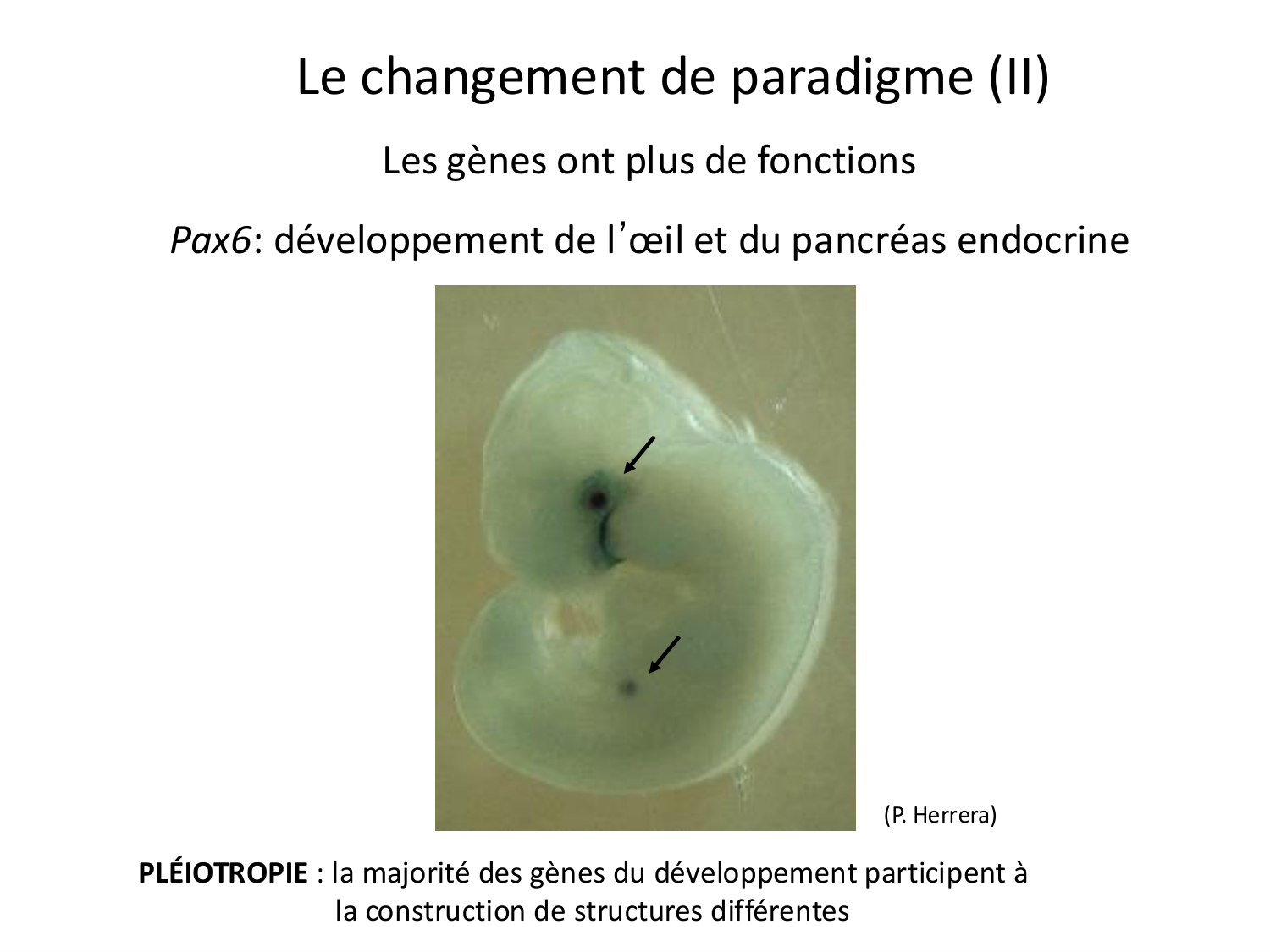 Introduction au développement page 28
