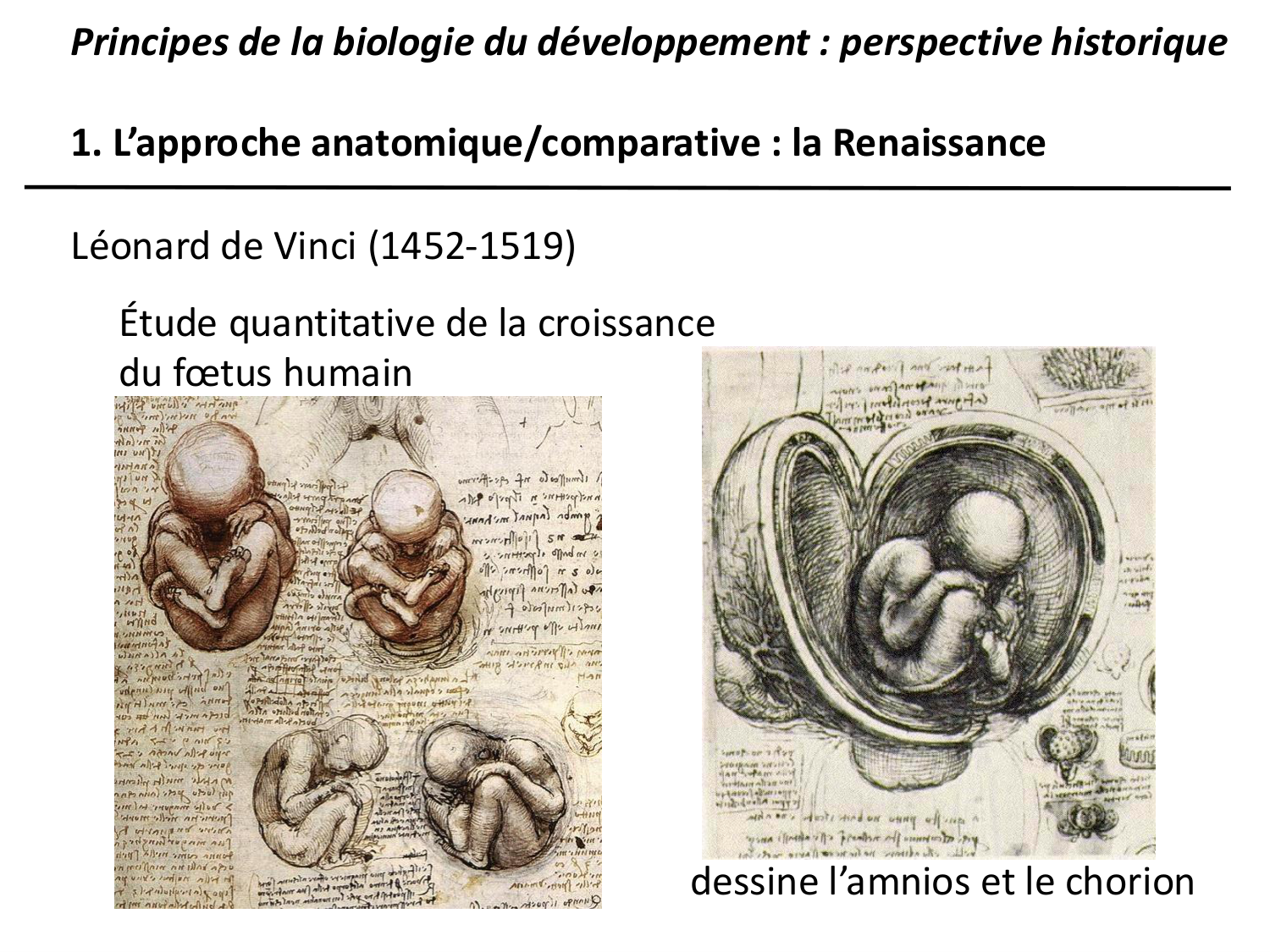 Introduction au développement page 33
