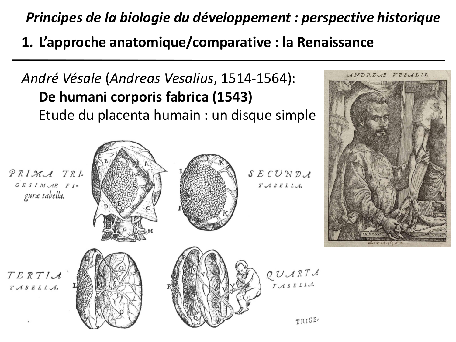 Introduction au développement page 34