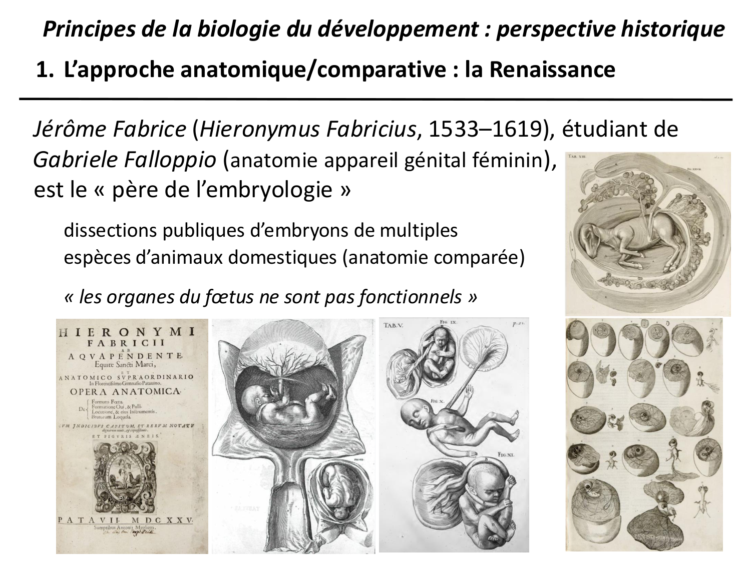 Introduction au développement page 35