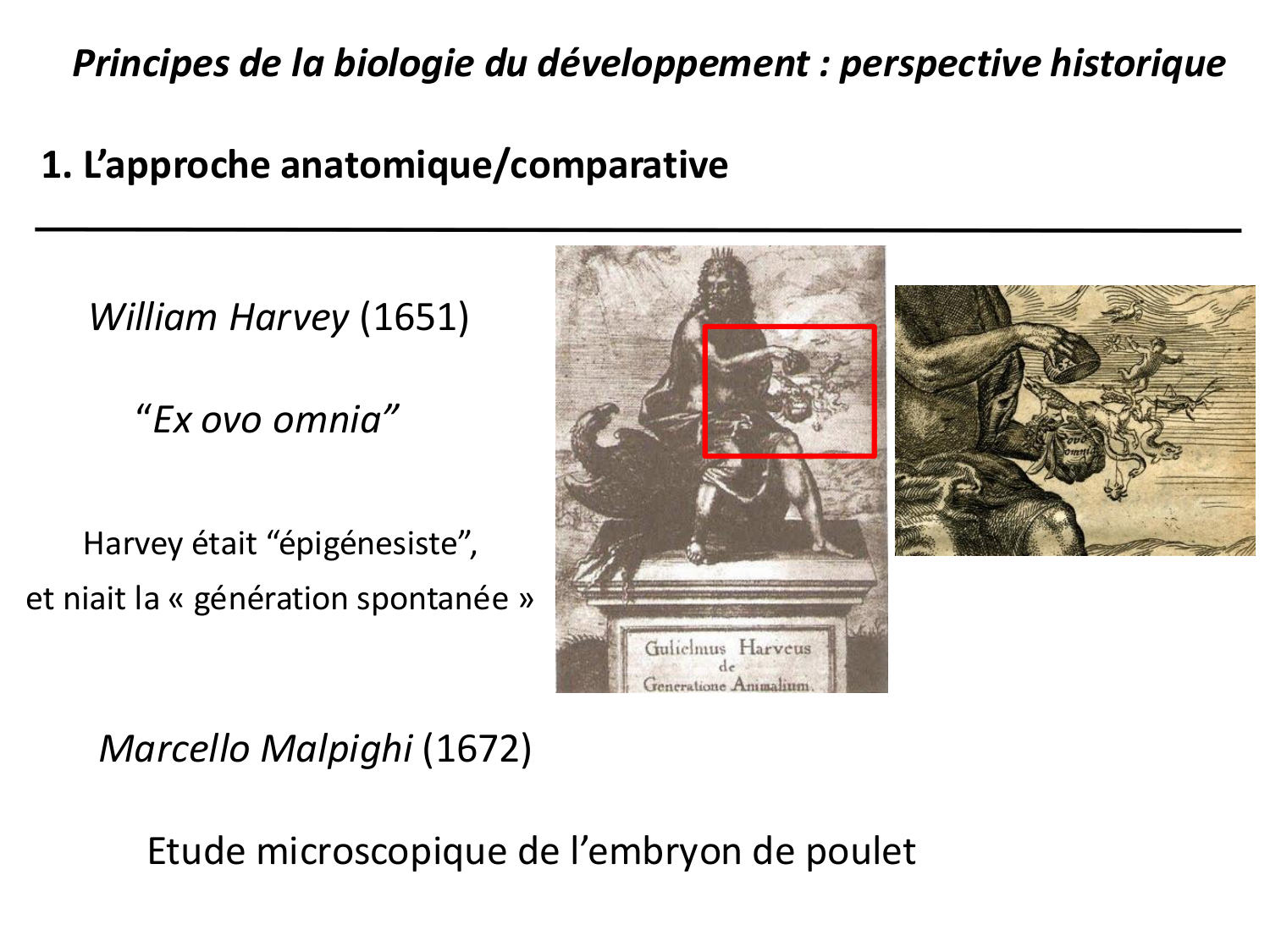 Introduction au développement page 36