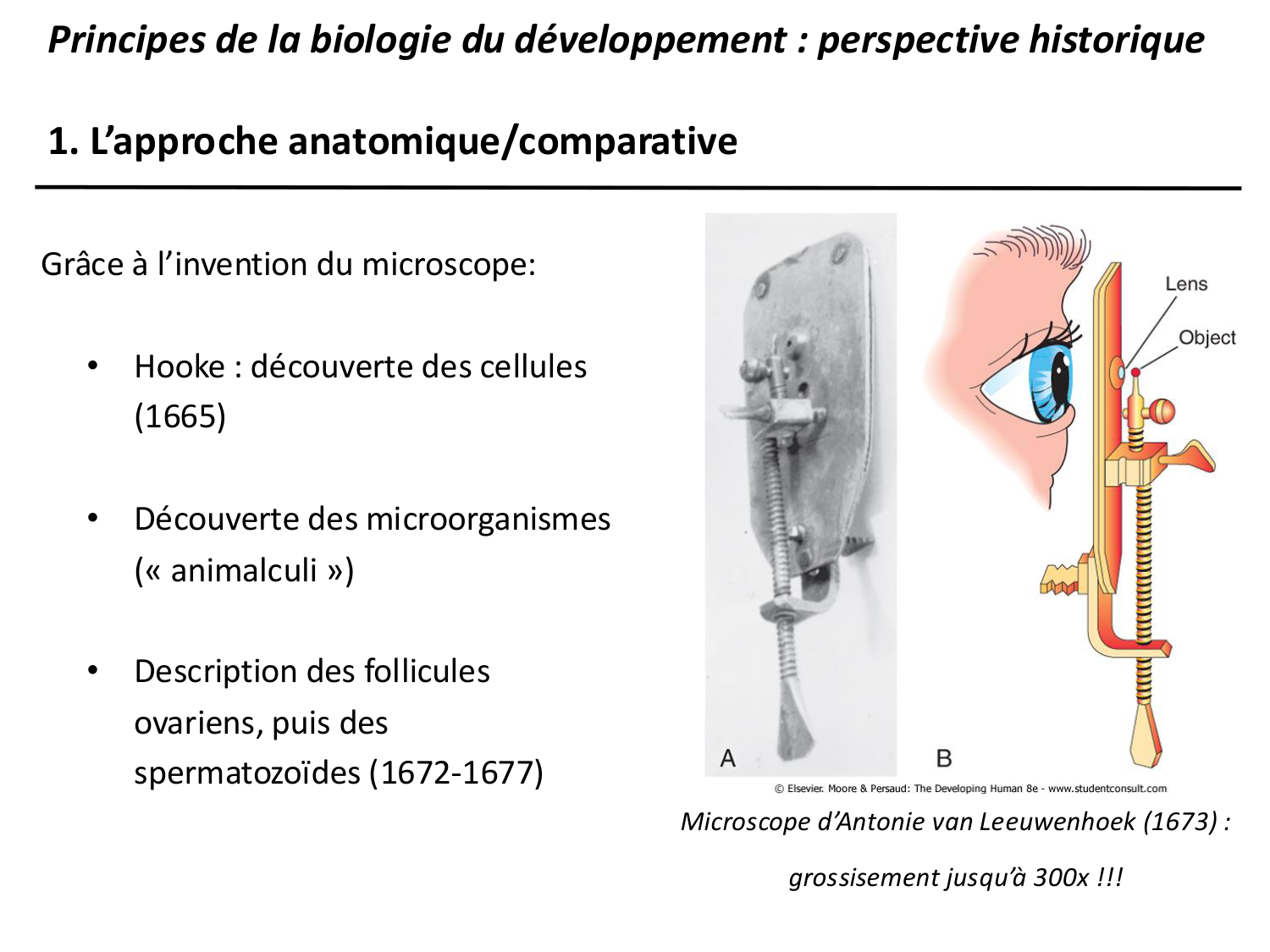 Introduction au développement page 38