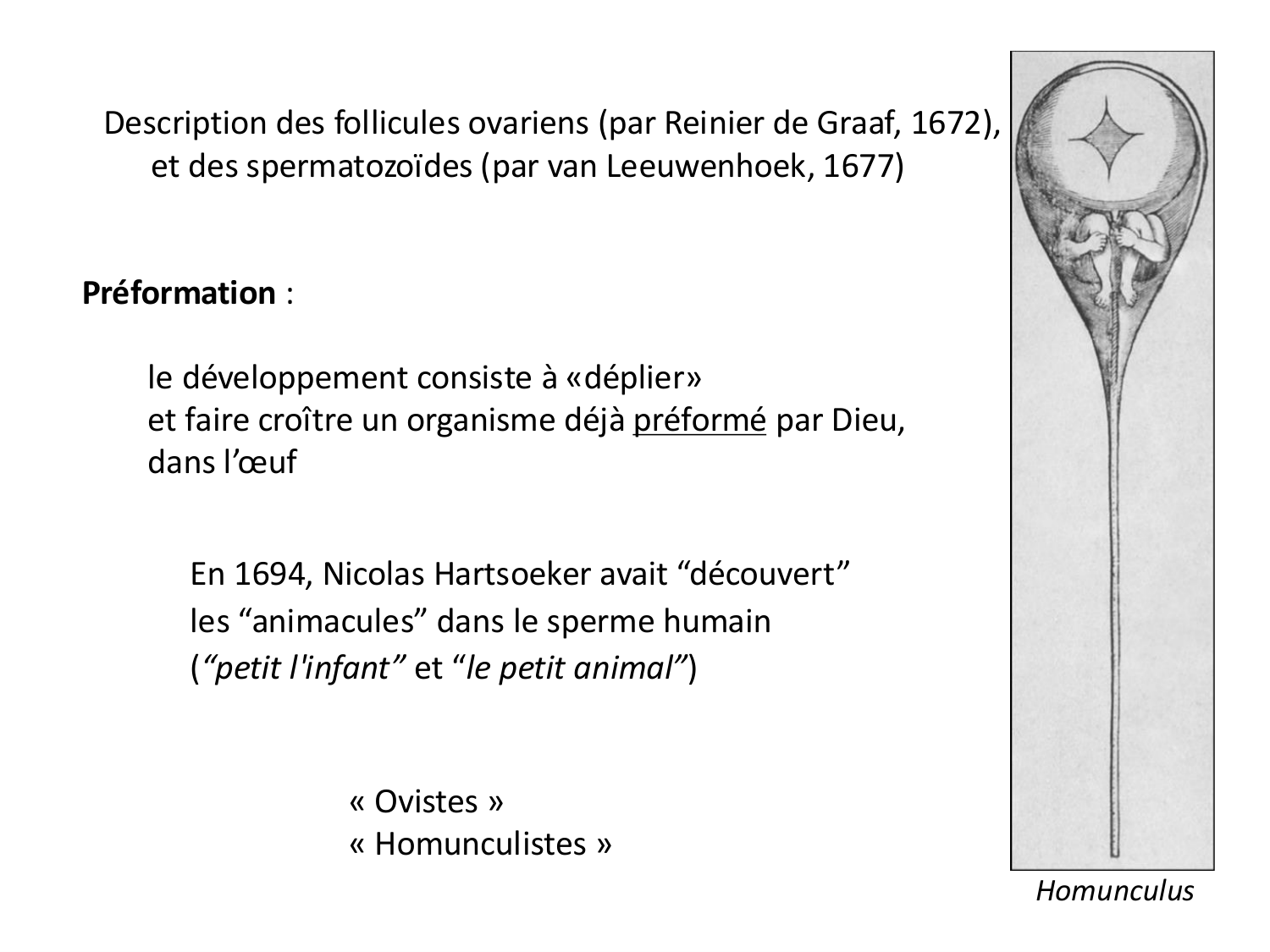 Introduction au développement page 39