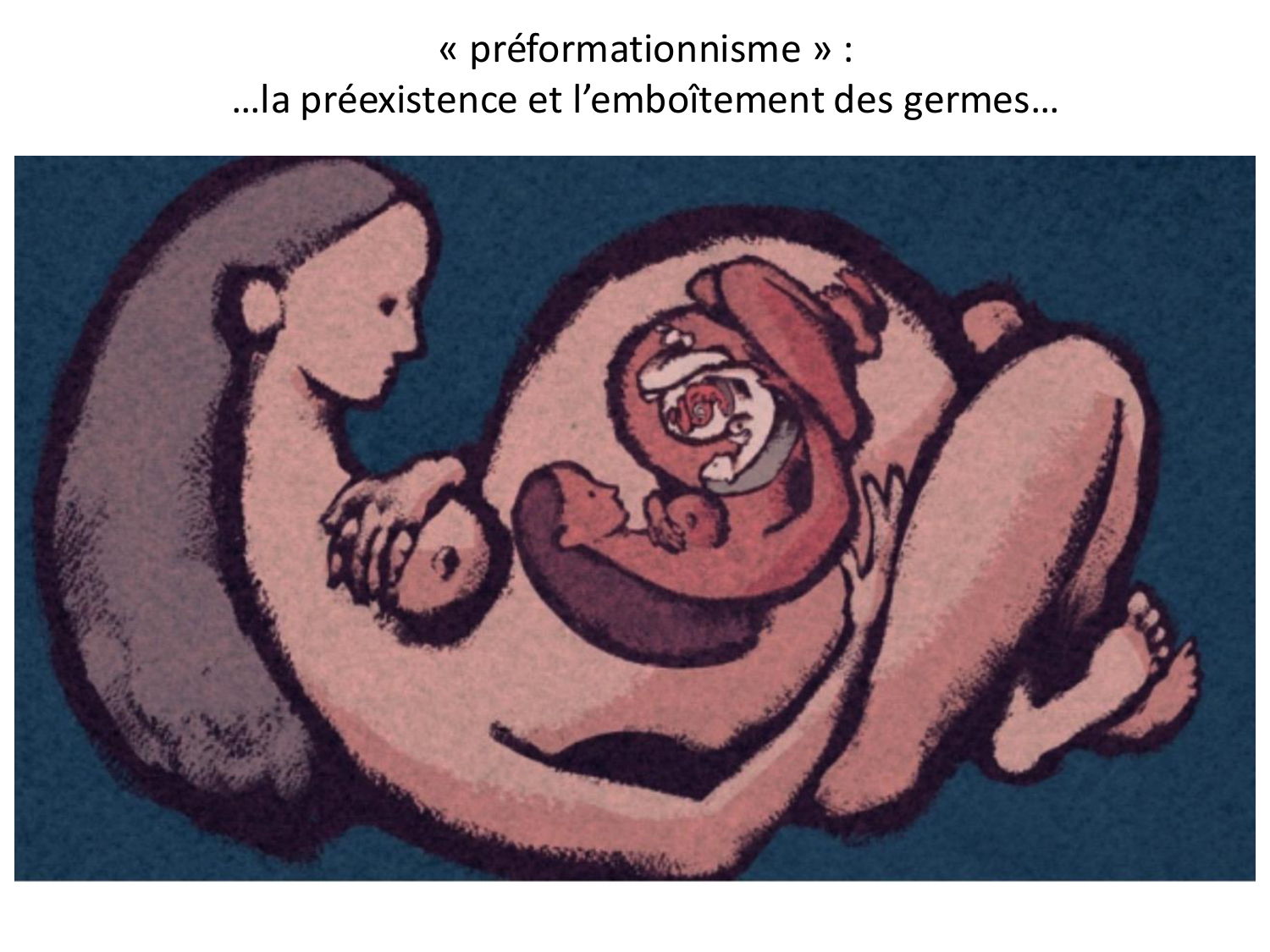 Introduction au développement page 40