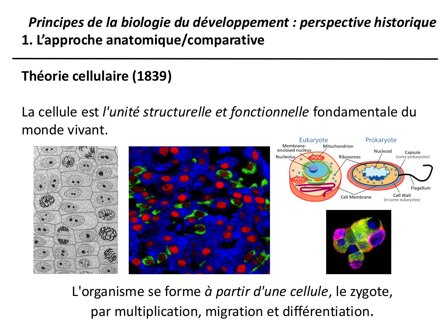 Introduction au développement page 48