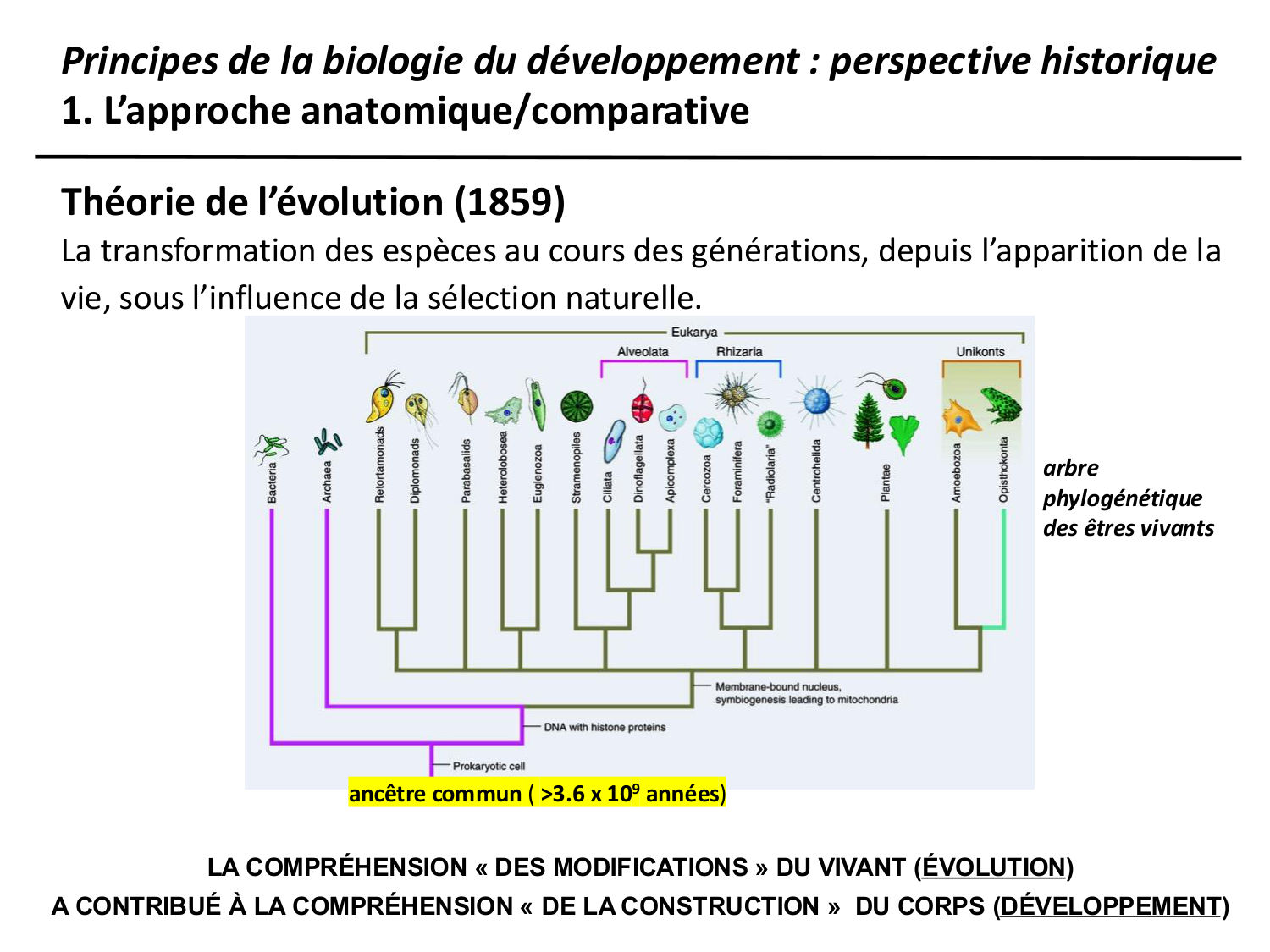 Introduction au développement page 49