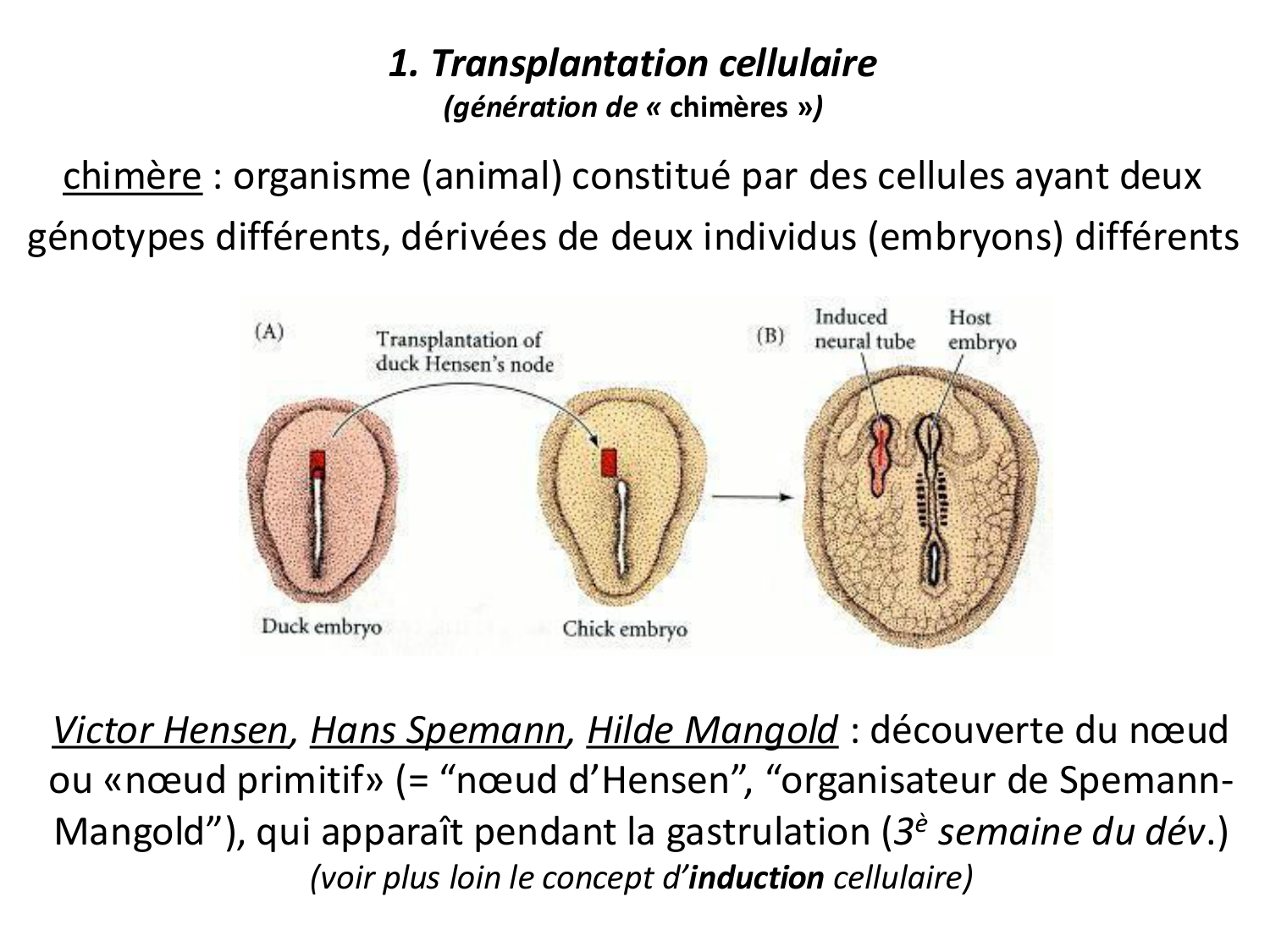 Introduction au développement page 59