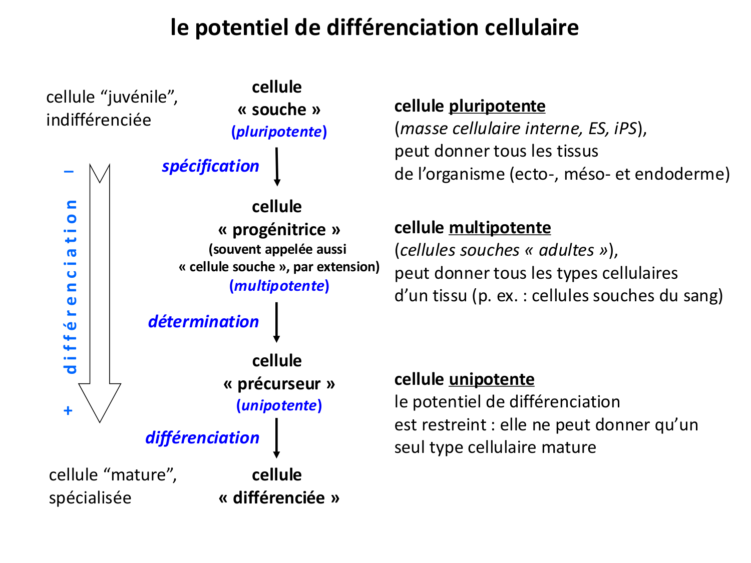 Introduction au développement page 68