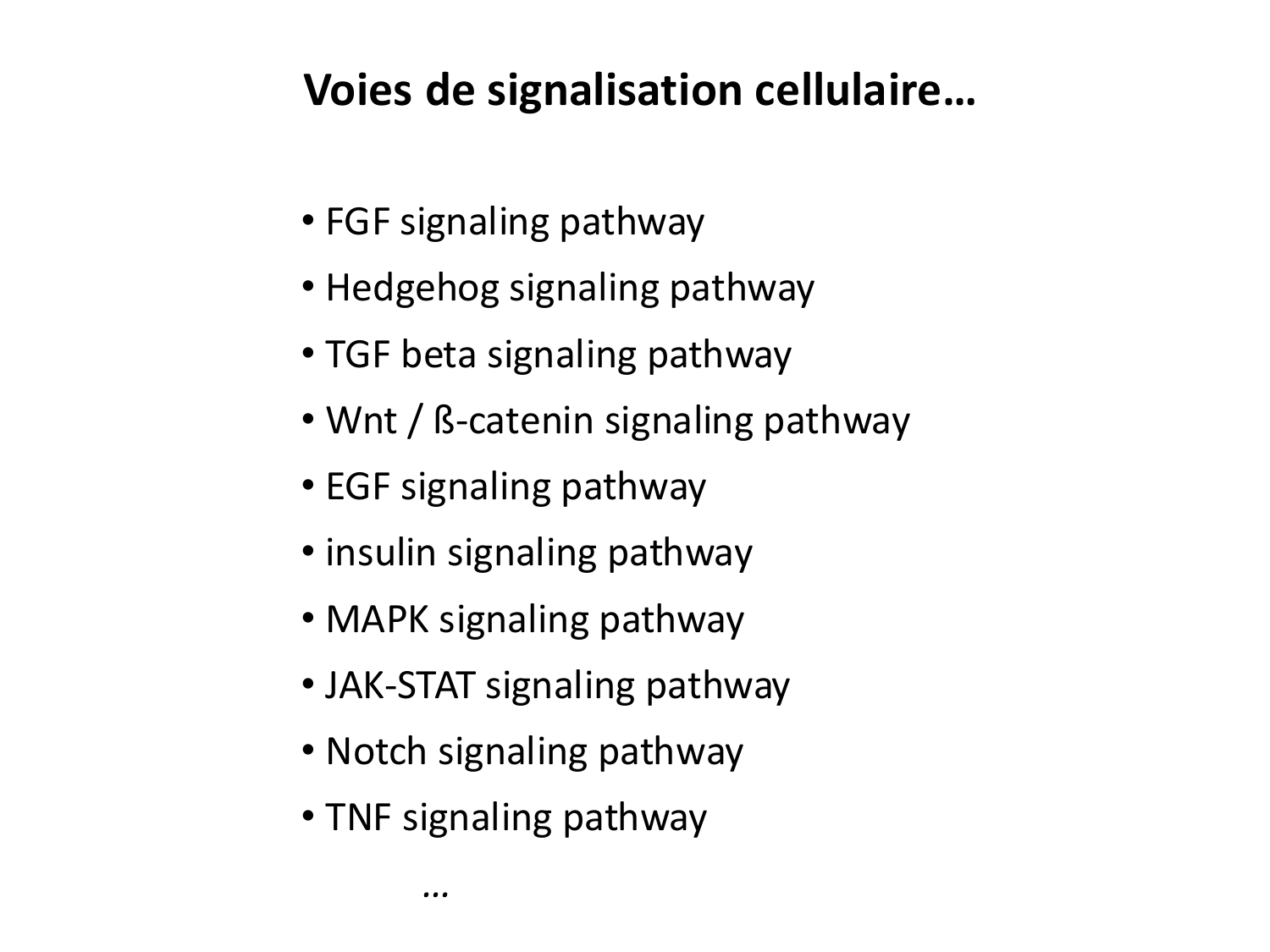 Introduction au développement page 80