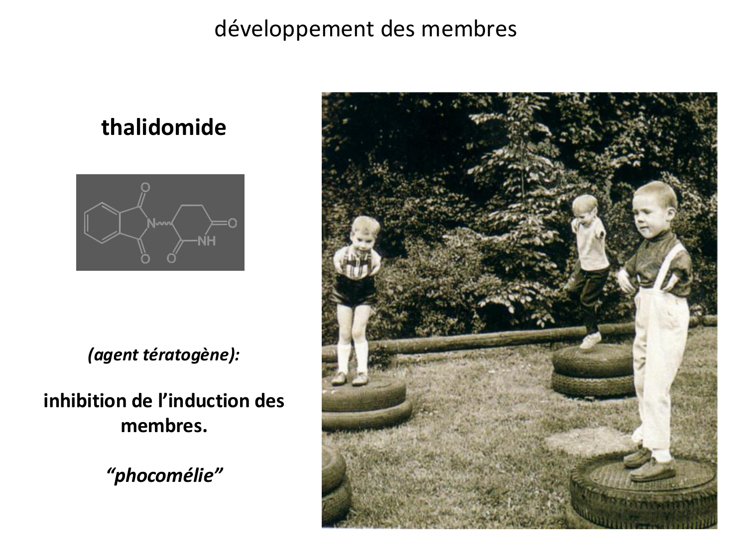 Introduction au développement page 87