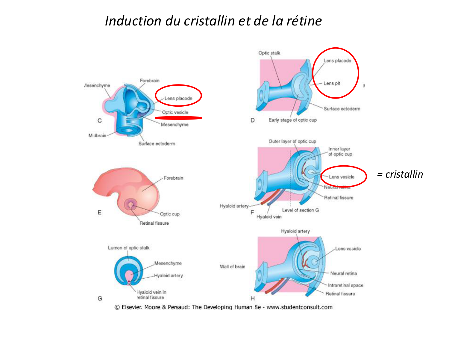 Introduction au développement page 90