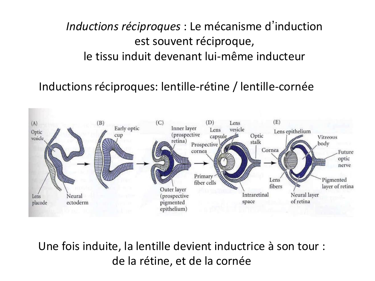 Introduction au développement page 91