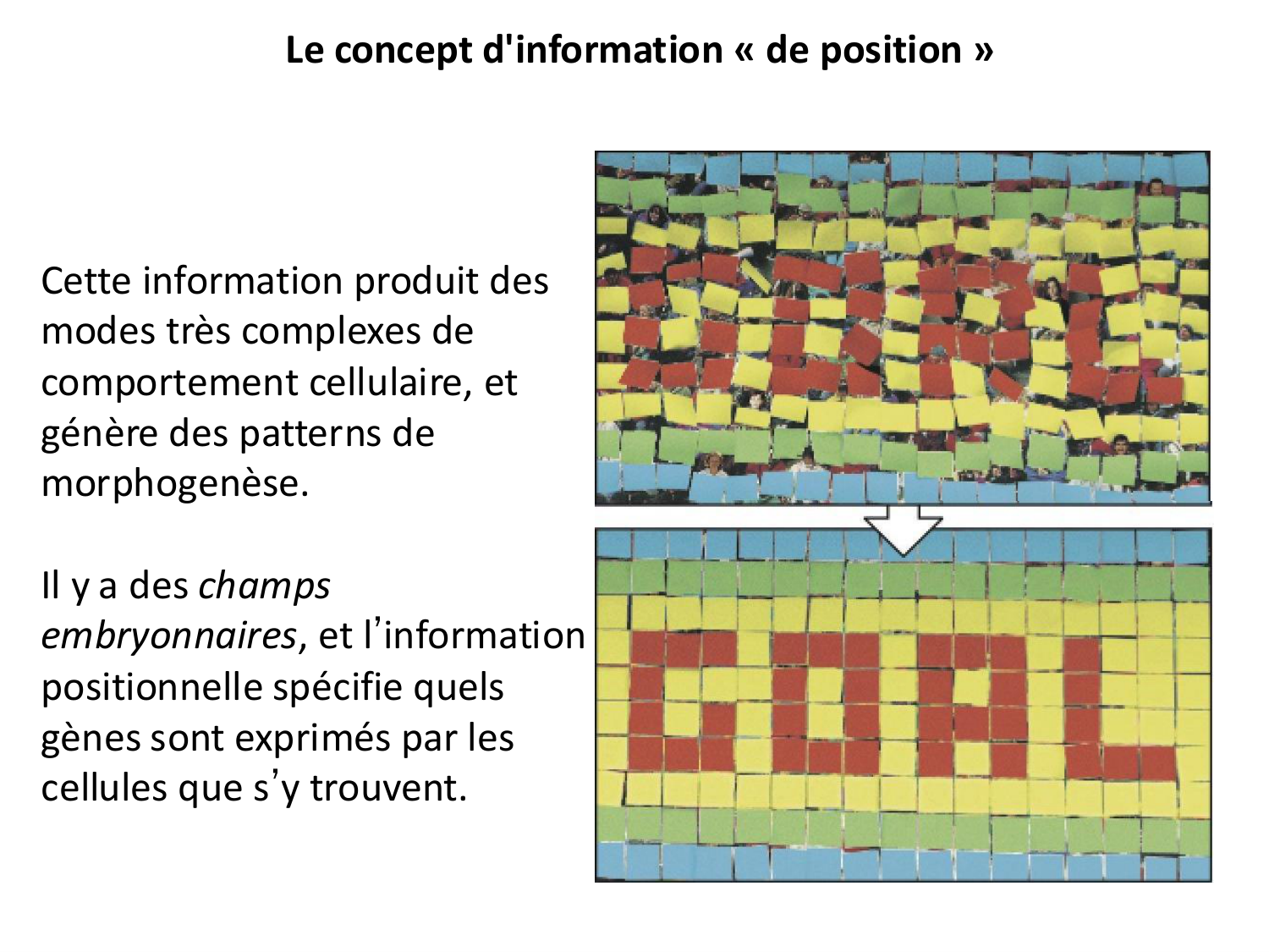 Introduction au développement page 98
