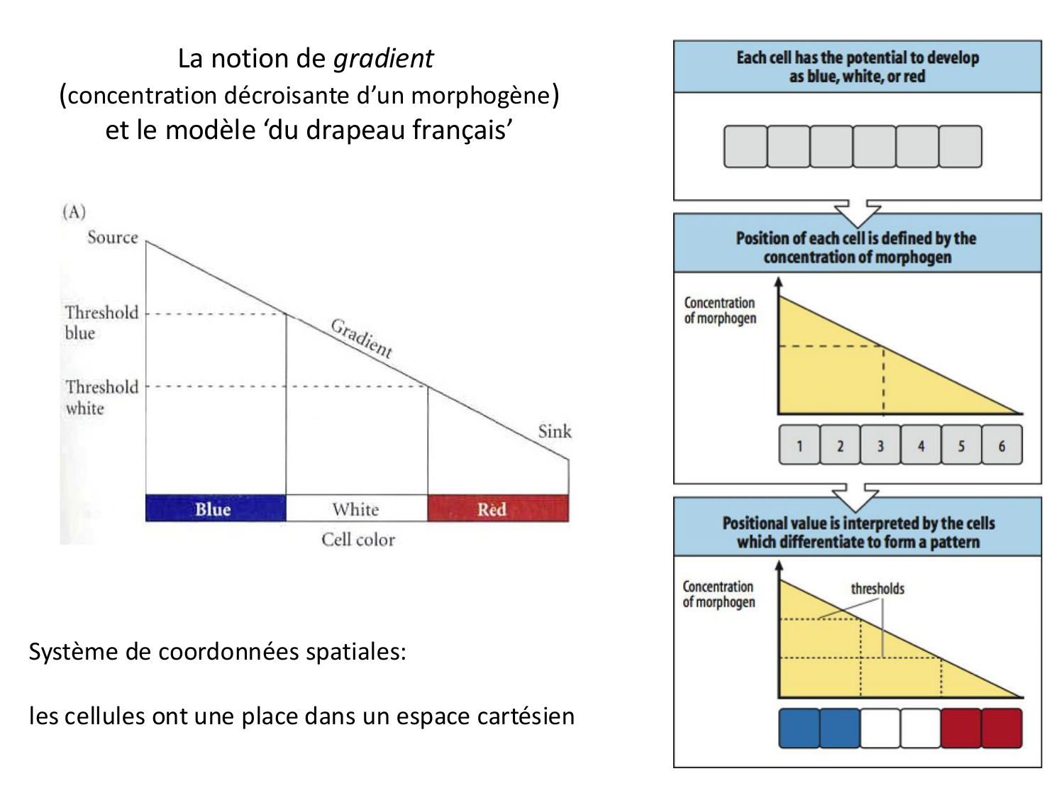 Introduction au développement page 100