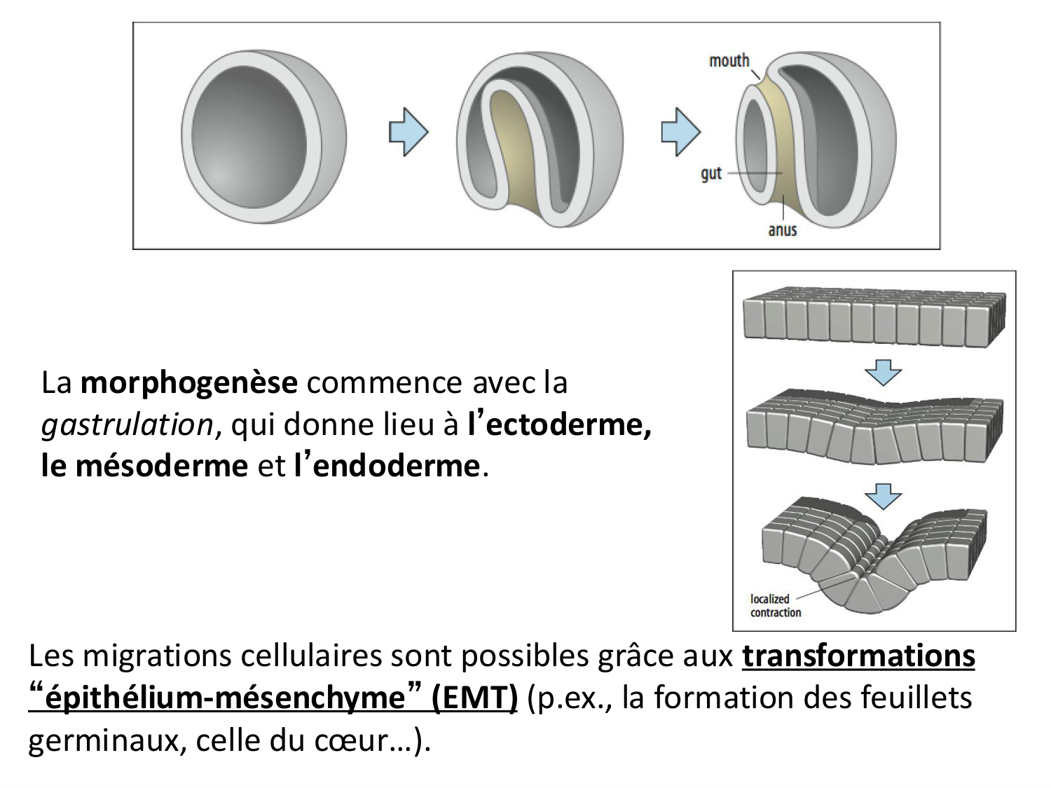 Introduction au développement page 107