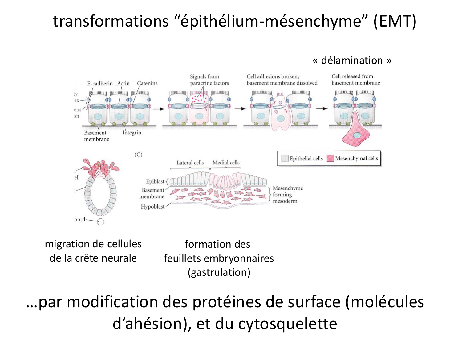 Introduction au développement page 108