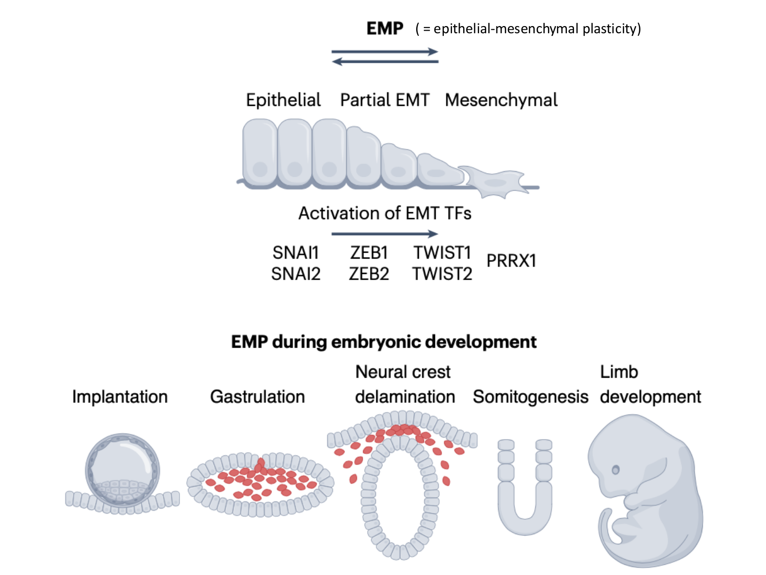 Introduction au développement page 109