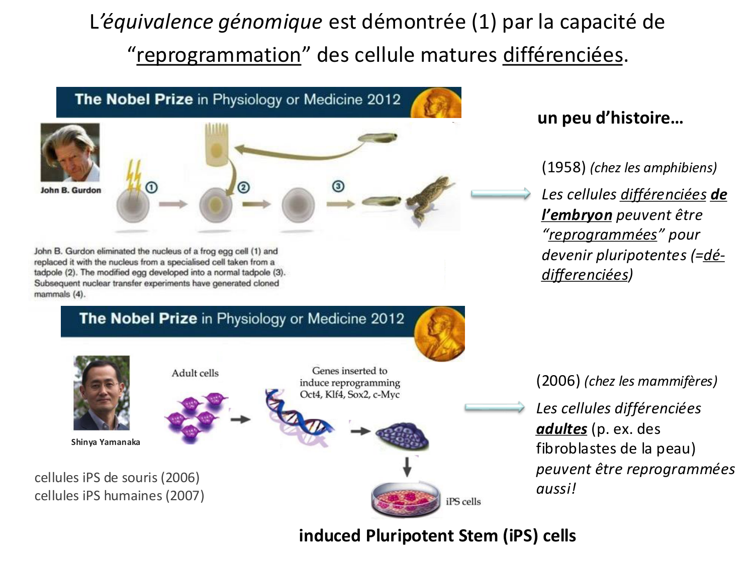Introduction au développement page 121