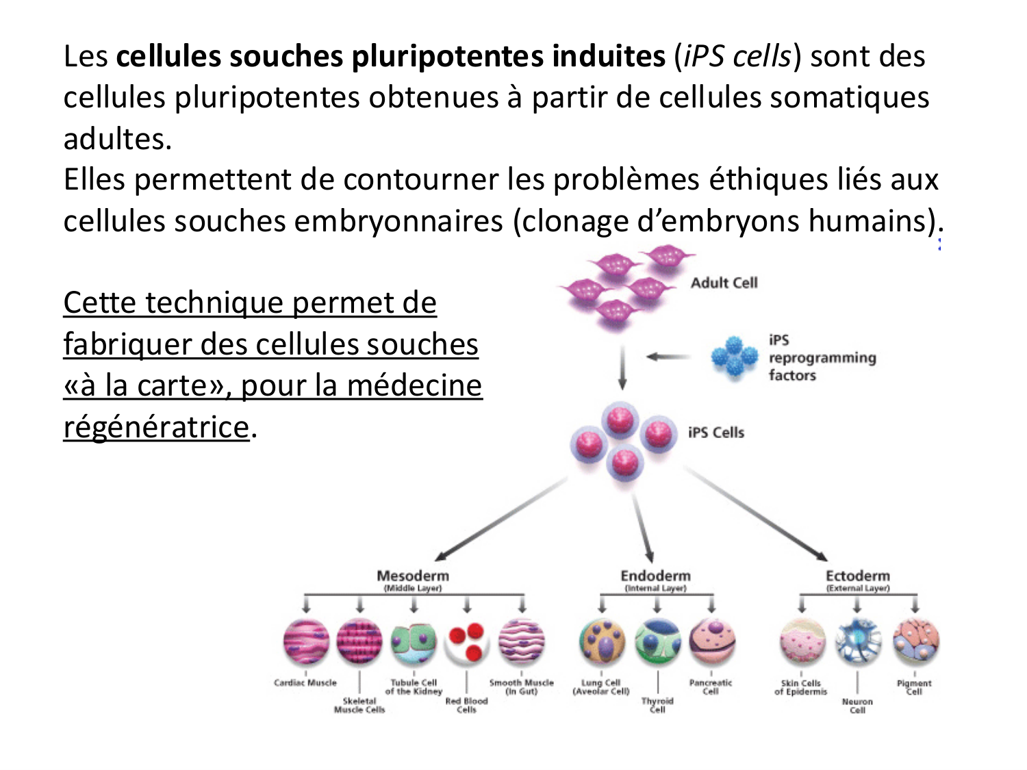 Introduction au développement page 122