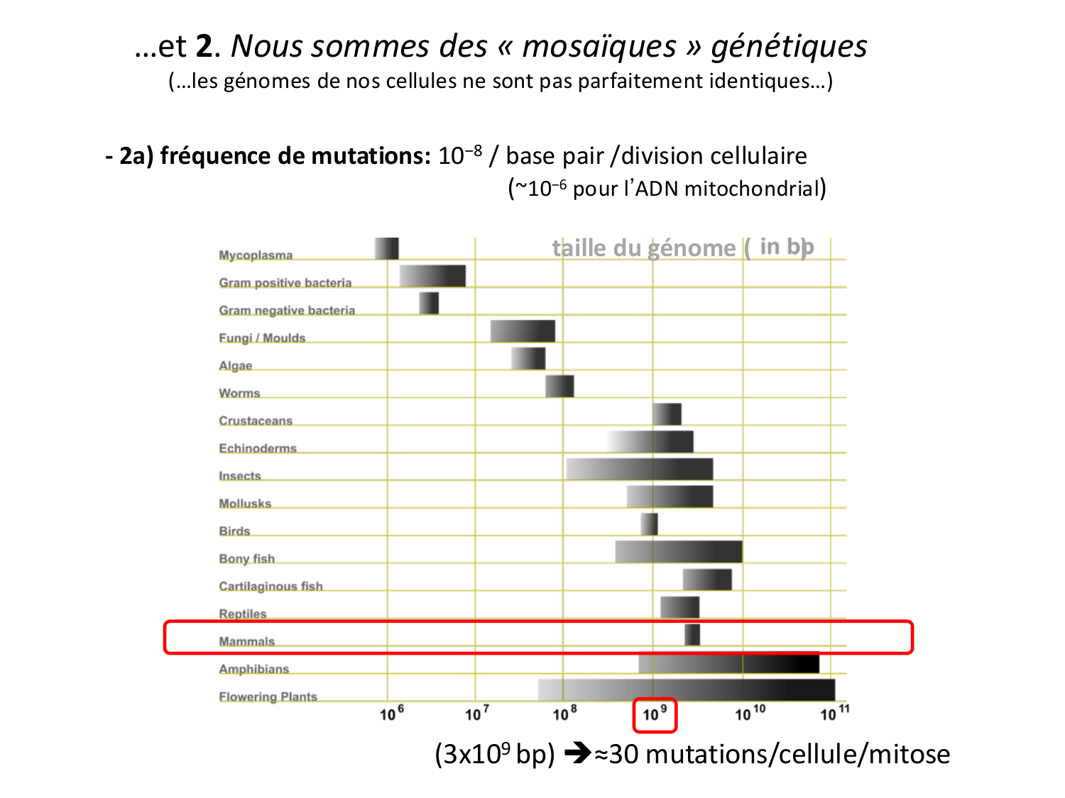 Introduction au développement page 126