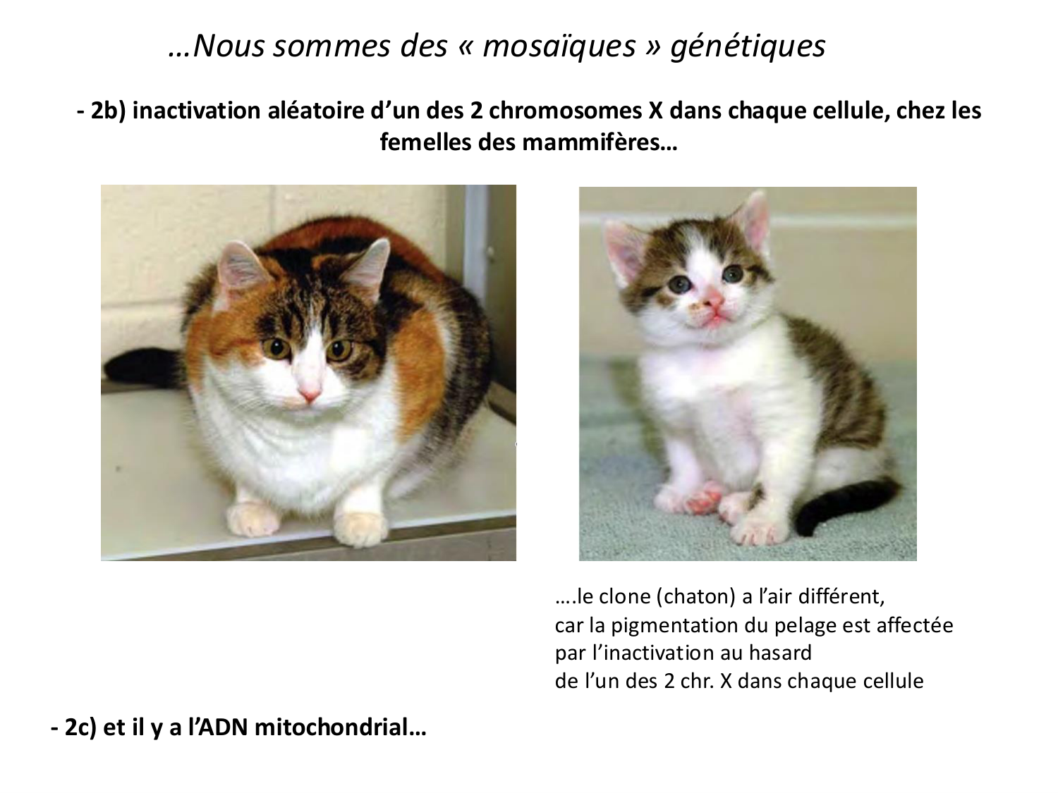 Introduction au développement page 127