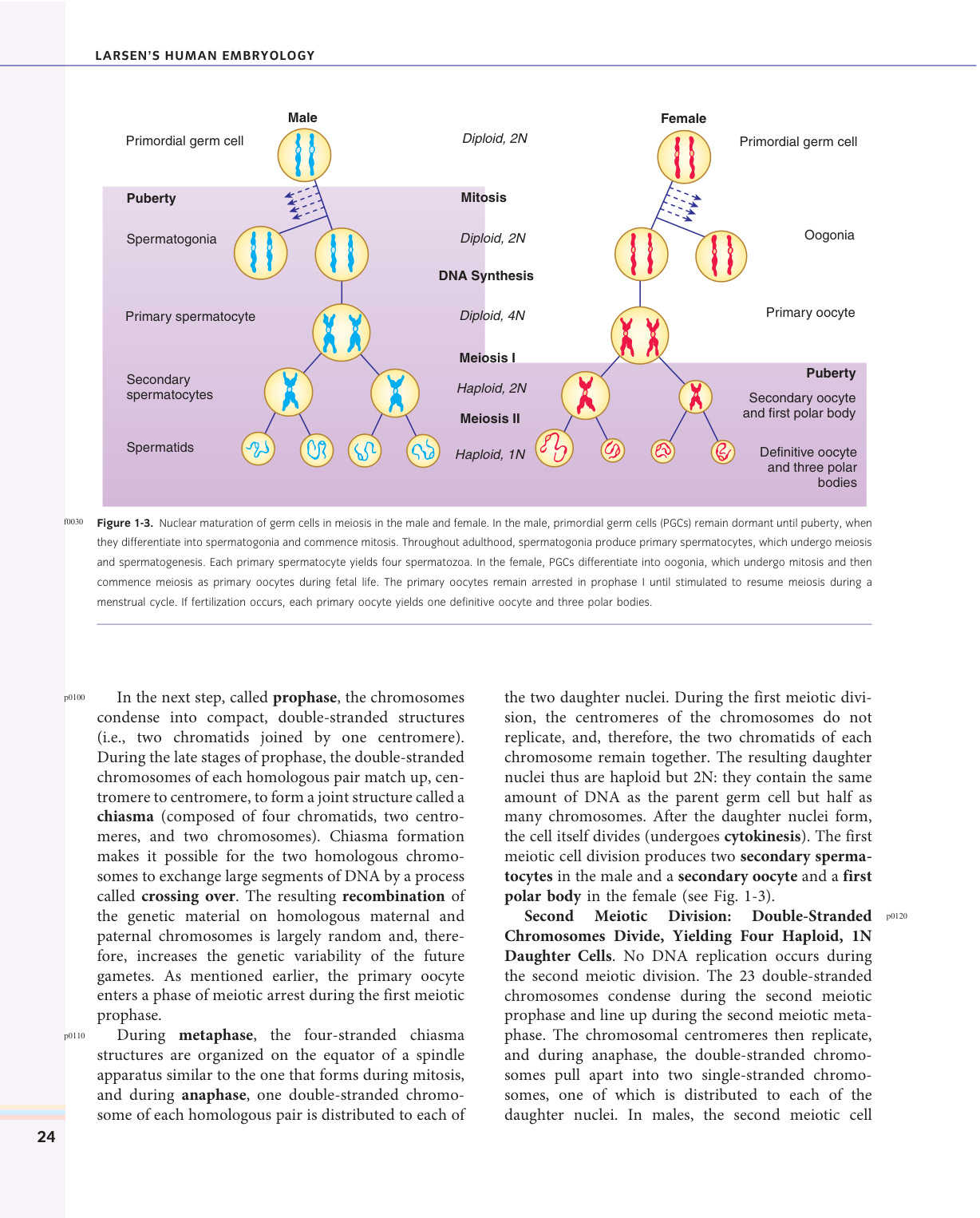Larsen s chapter 1 page 10