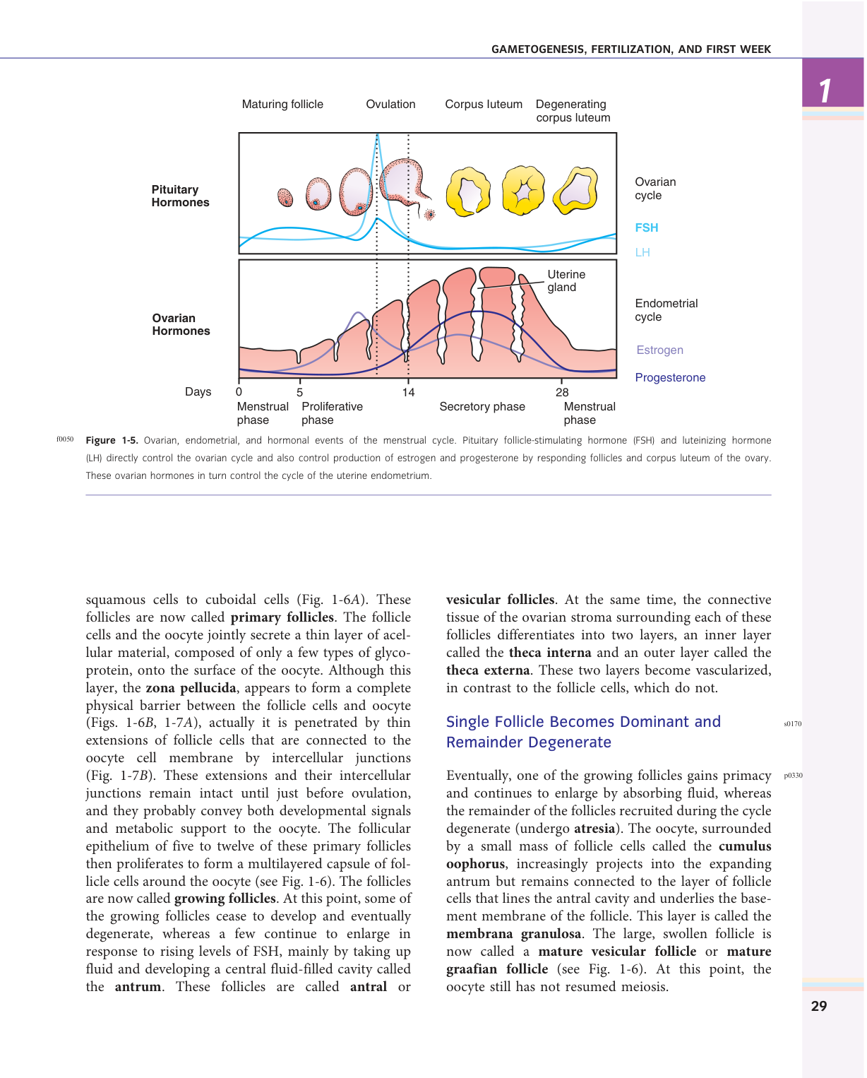 Larsen s chapter 1 page 15