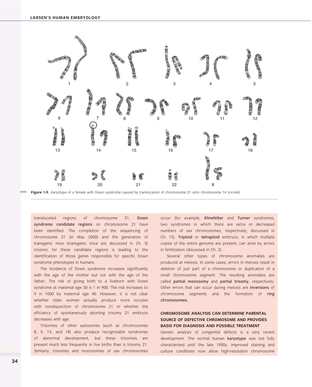 Larsen s chapter 1 page 20