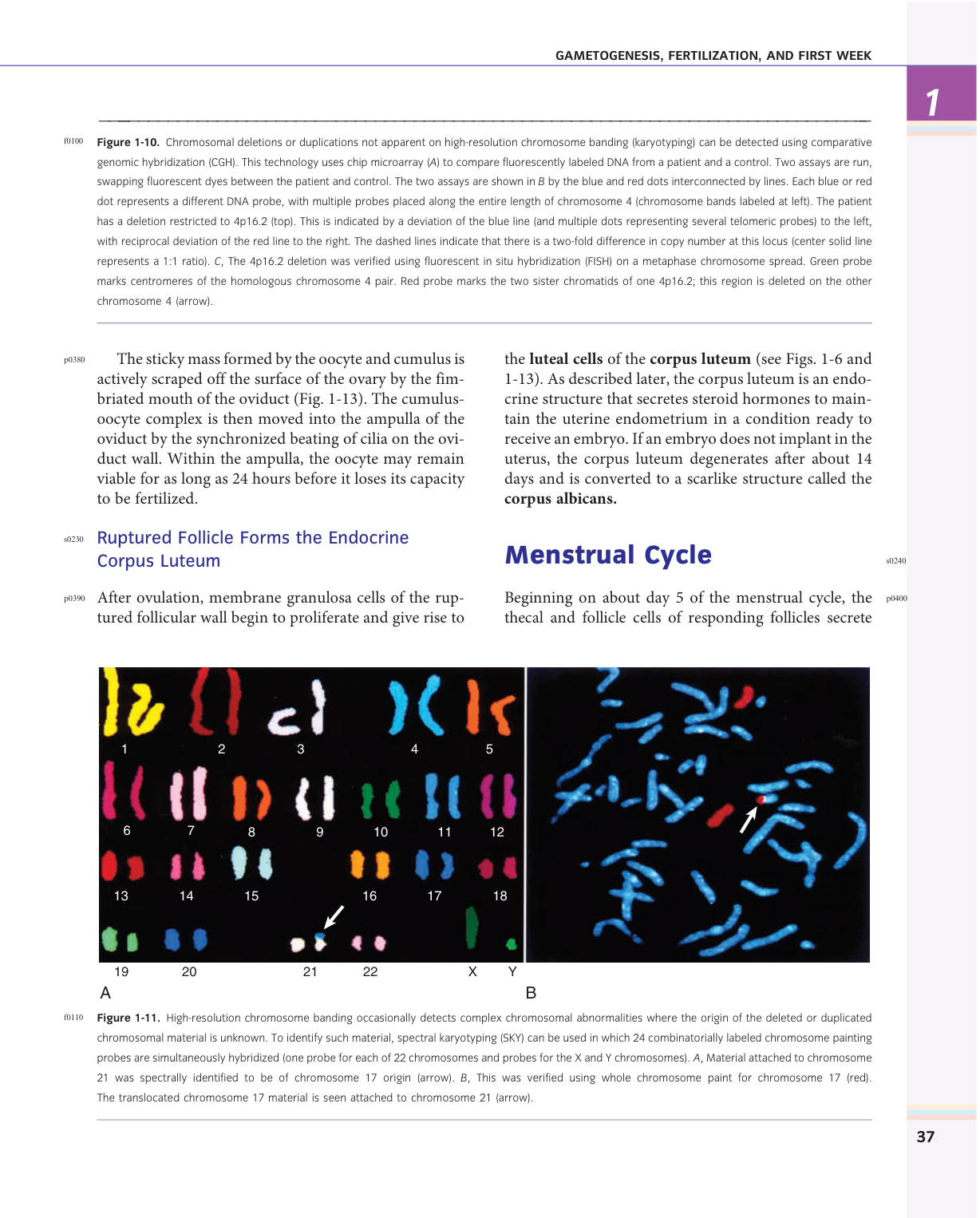 Larsen s chapter 1 page 23