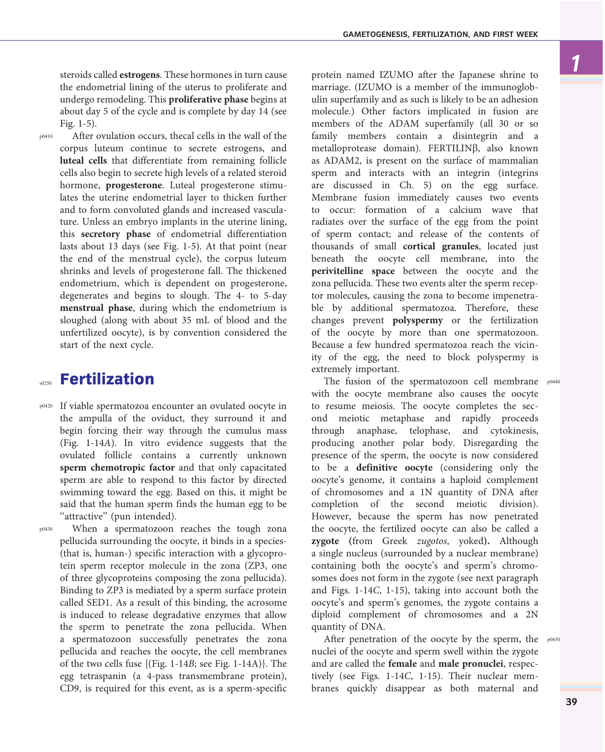 Larsen s chapter 1 page 25