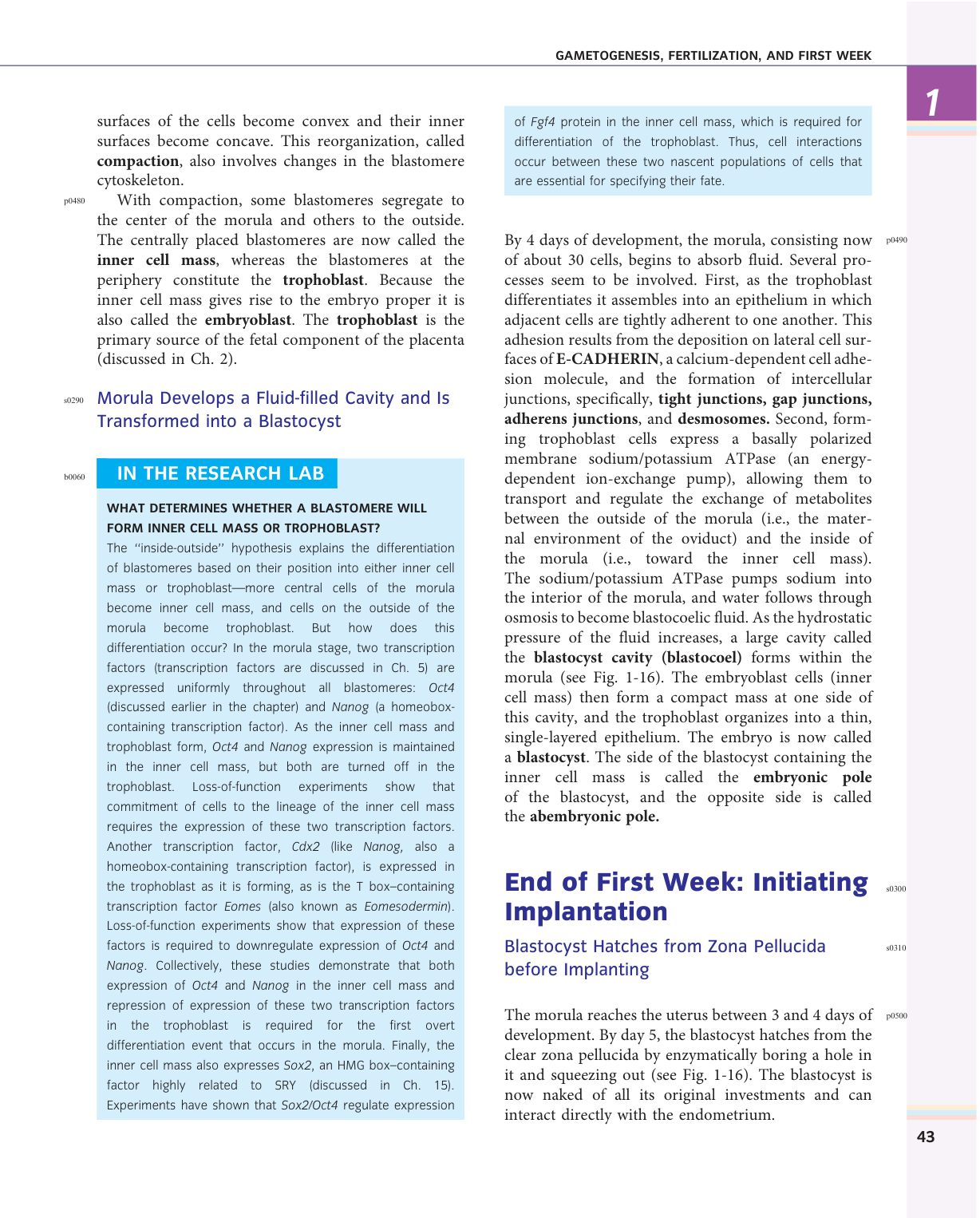 Larsen s chapter 1 page 29