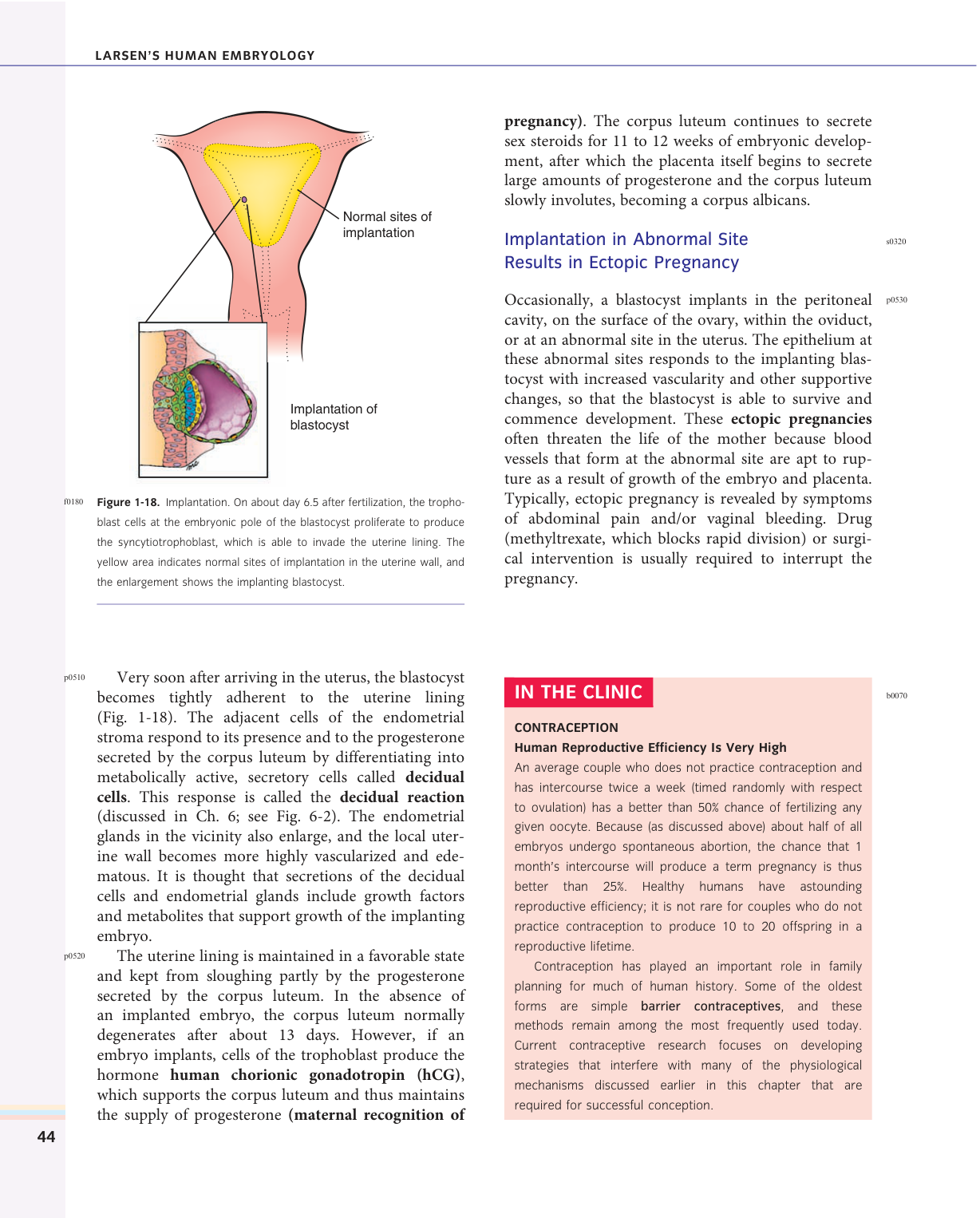 Larsen s chapter 1 page 30