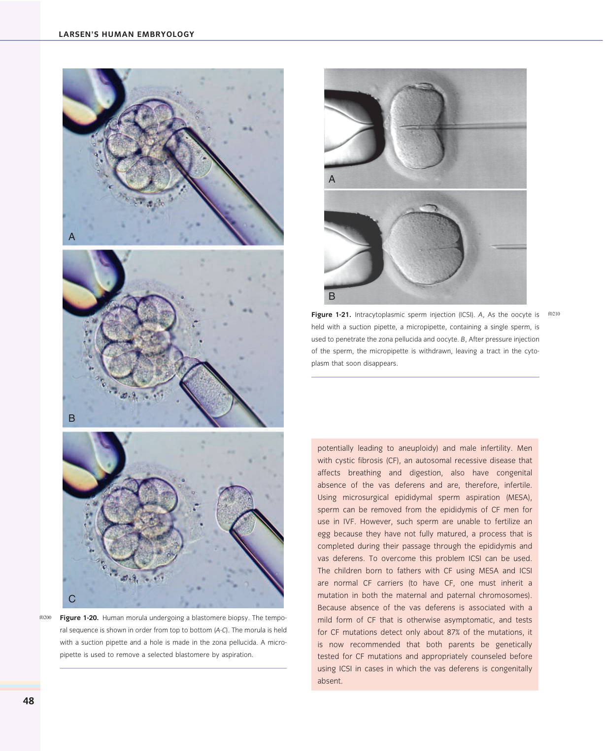 Larsen s chapter 1 page 34