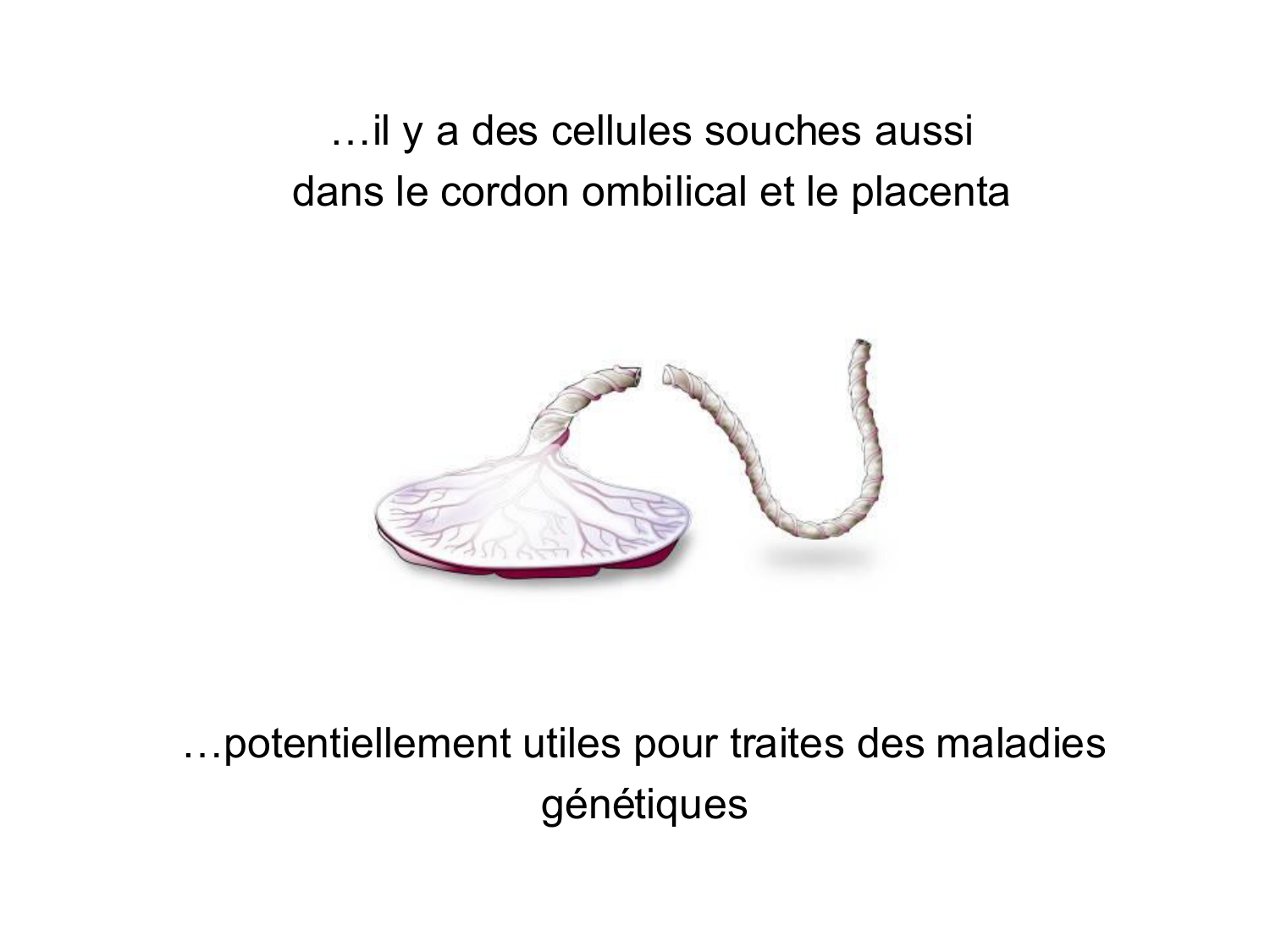 Cellules souches et thérapie cellulaire page 12