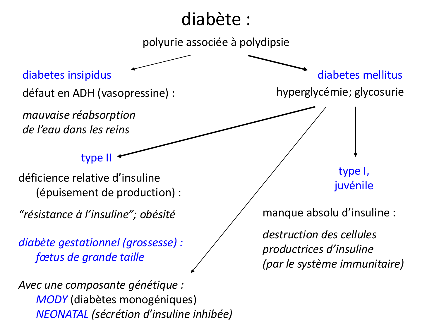 Cellules souches et thérapie cellulaire page 19