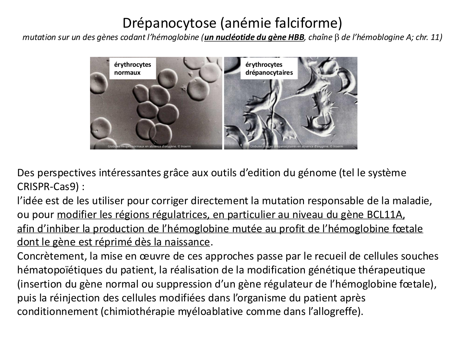 Cellules souches et thérapie cellulaire page 50