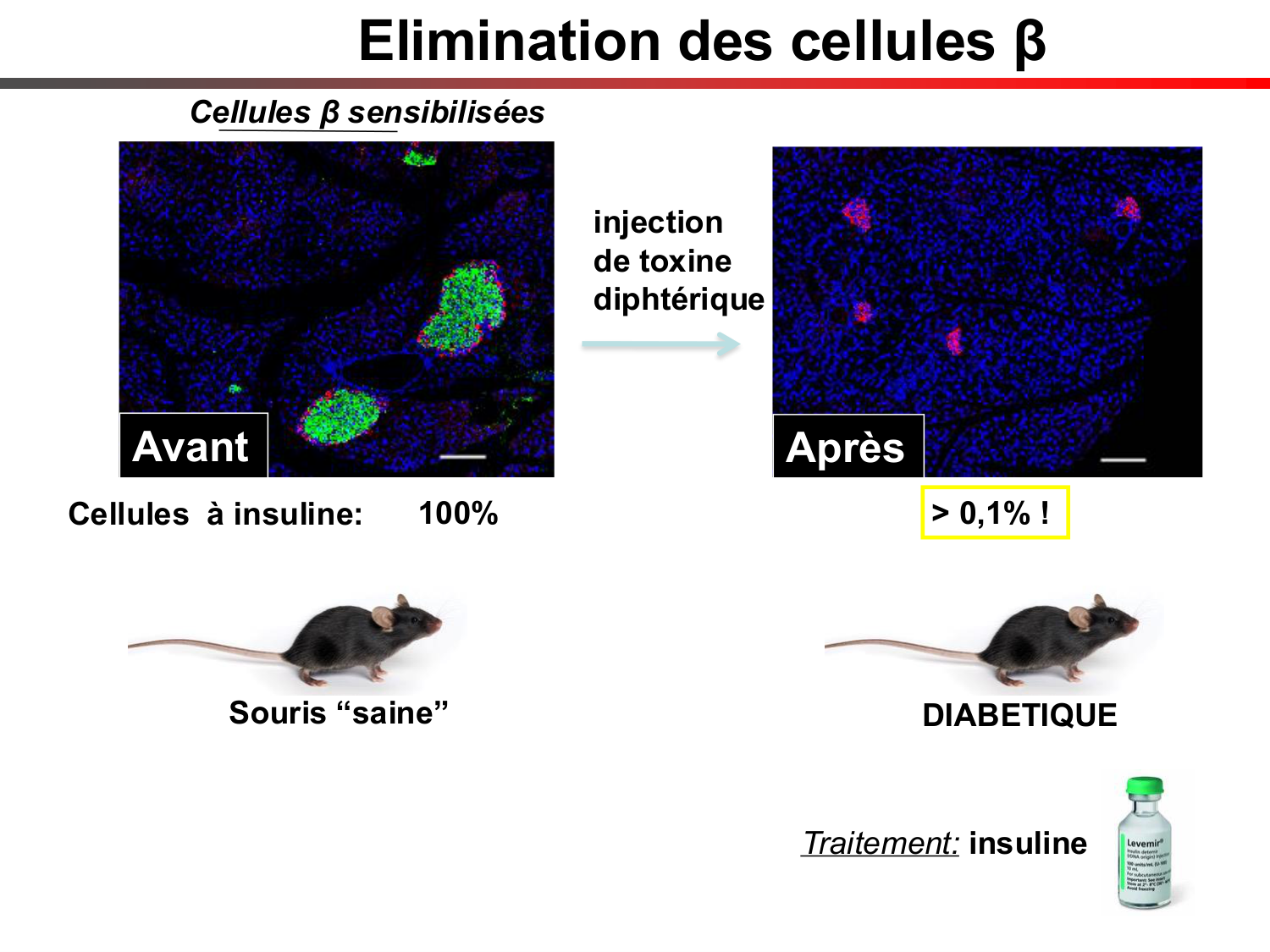 Cellules souches et thérapie cellulaire page 61