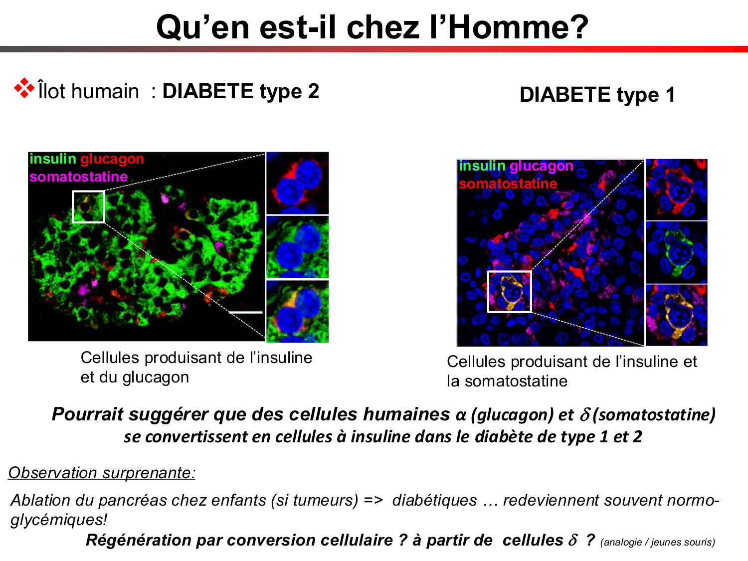 Cellules souches et thérapie cellulaire page 70