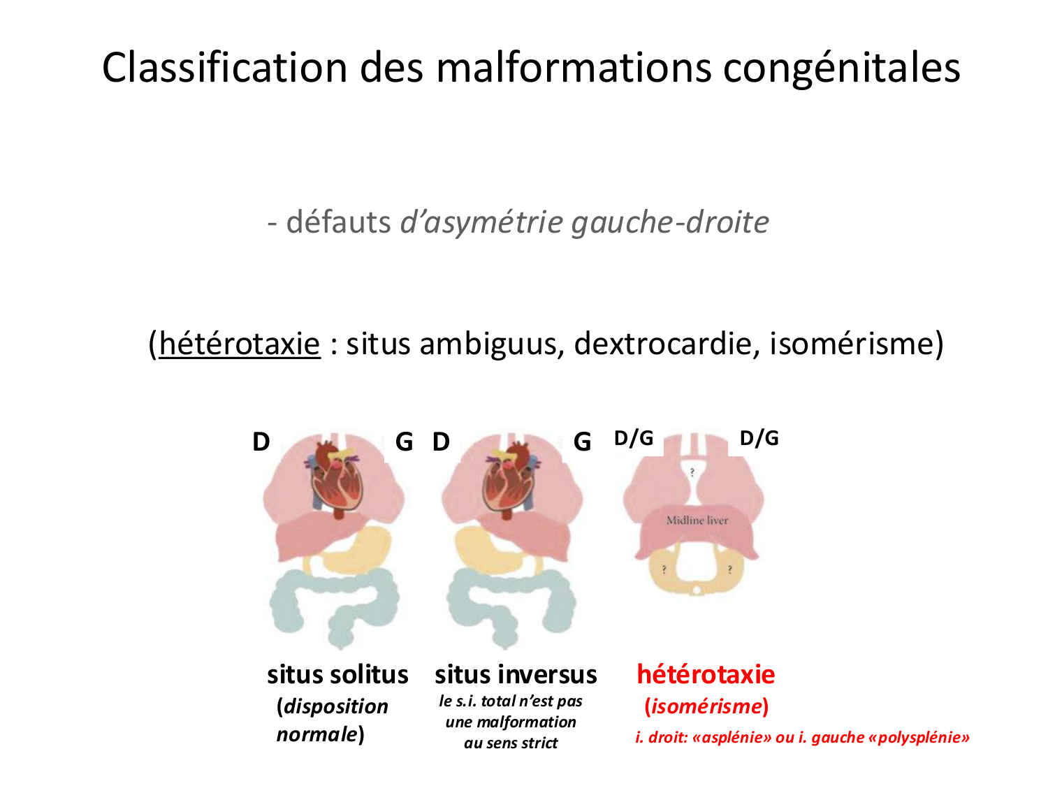 Malformations congénitales page 78