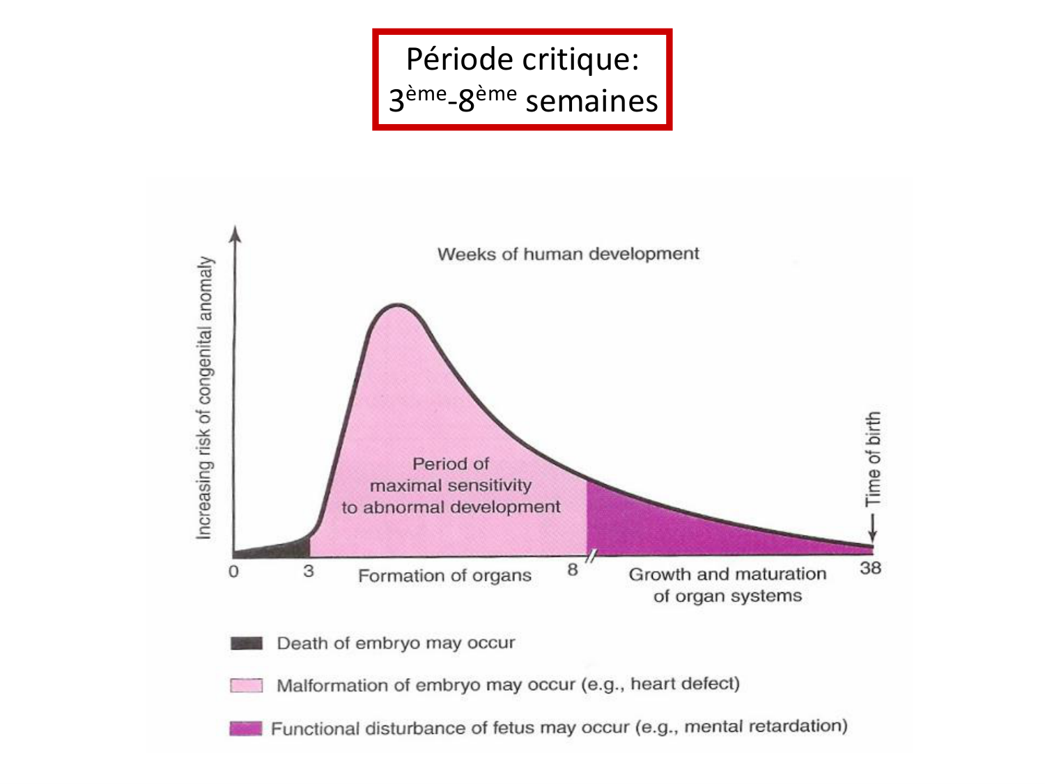 Malformations congénitales page 96