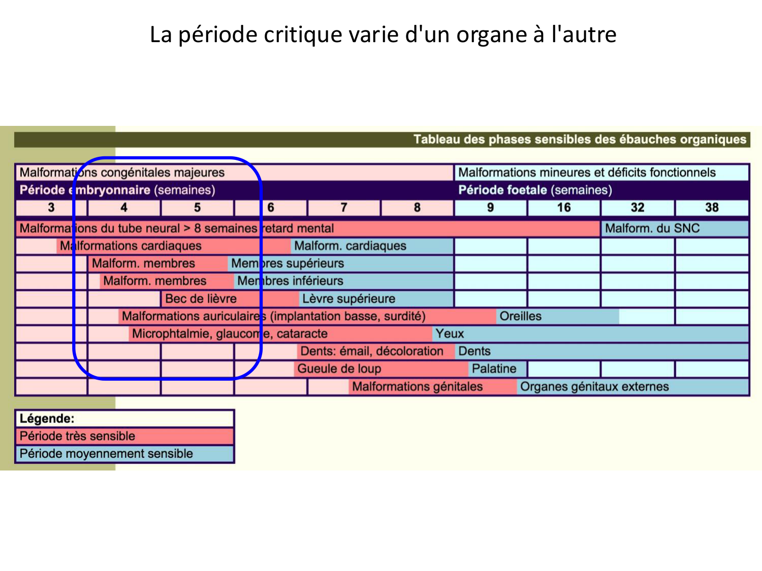 Malformations congénitales page 97